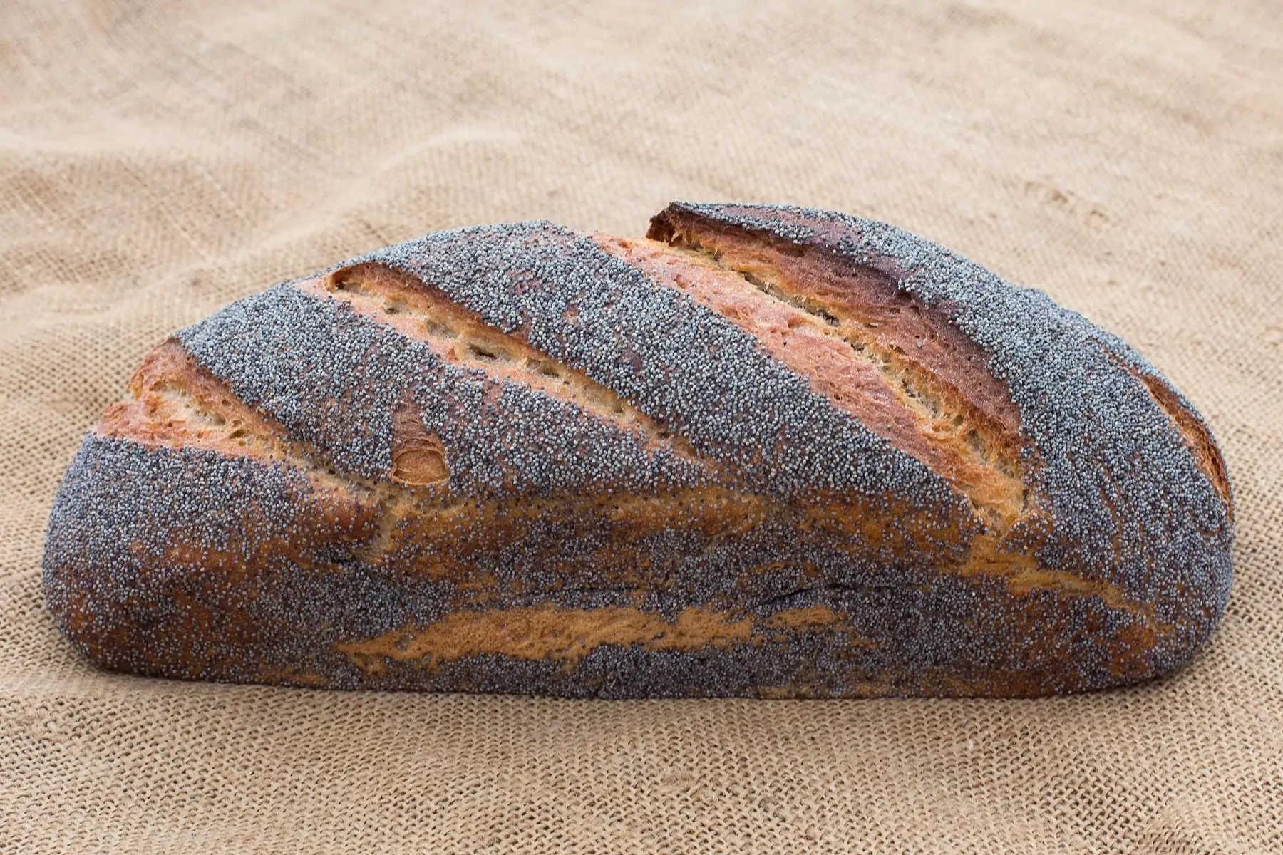 pain pavot 1 kg moulé