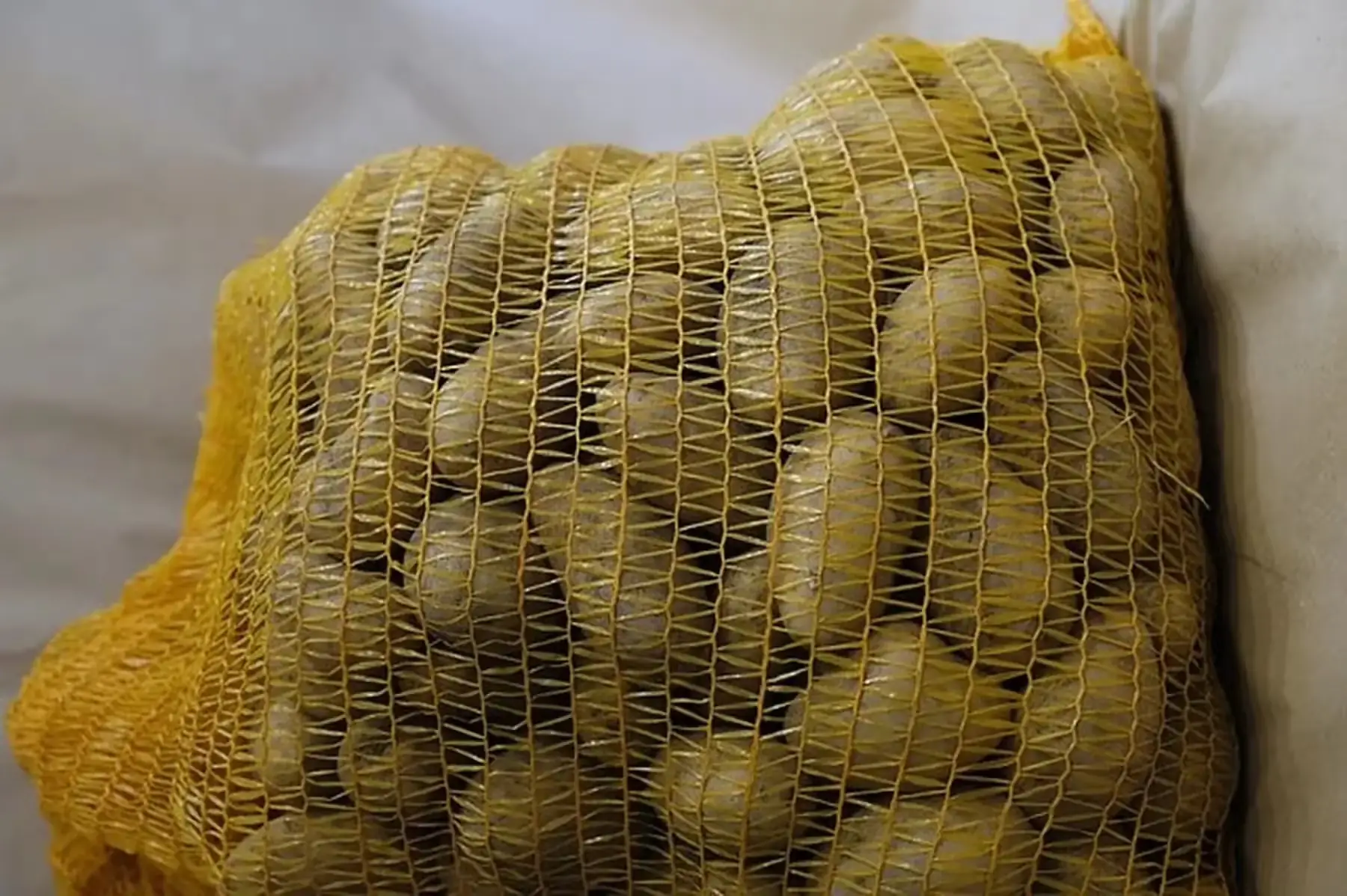 pomme de terre chair farineuse