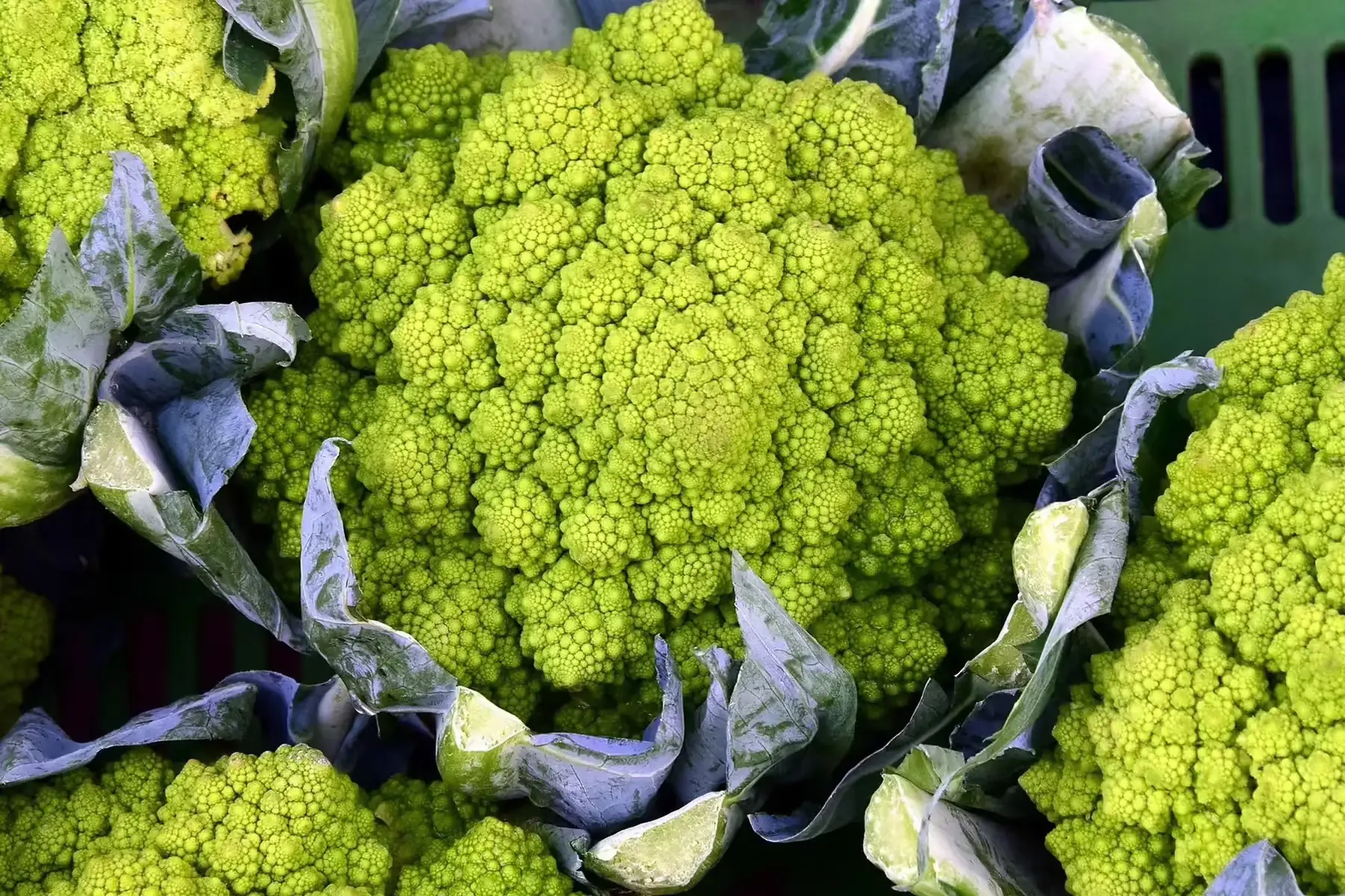 choux romanesco