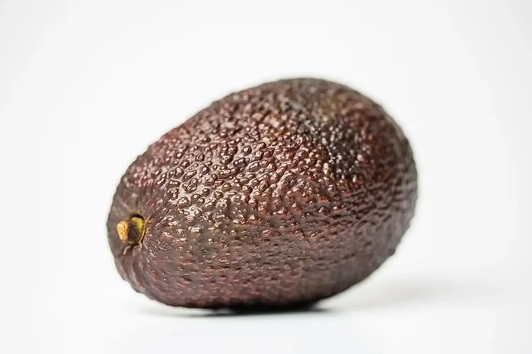 avocat mûrs