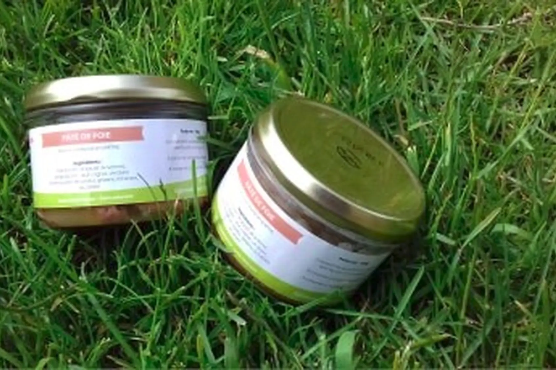 paté de foie de volaille