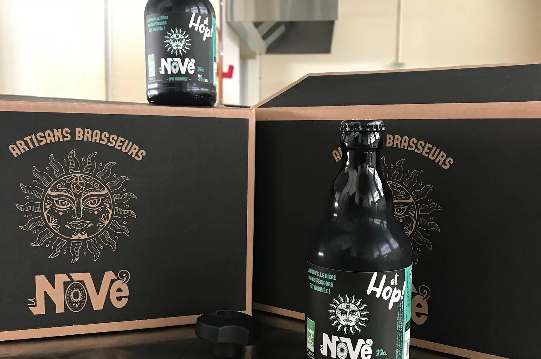 carton de 12 x 33cl de bières ipa ambrées bio