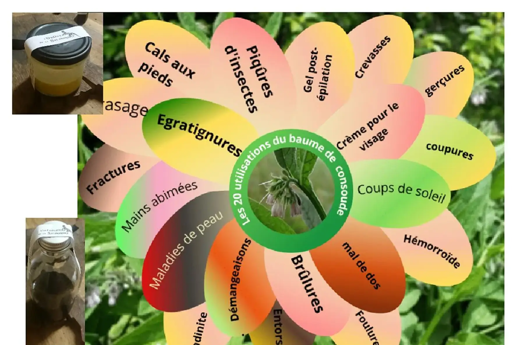 baume ou teinture mère de consoude