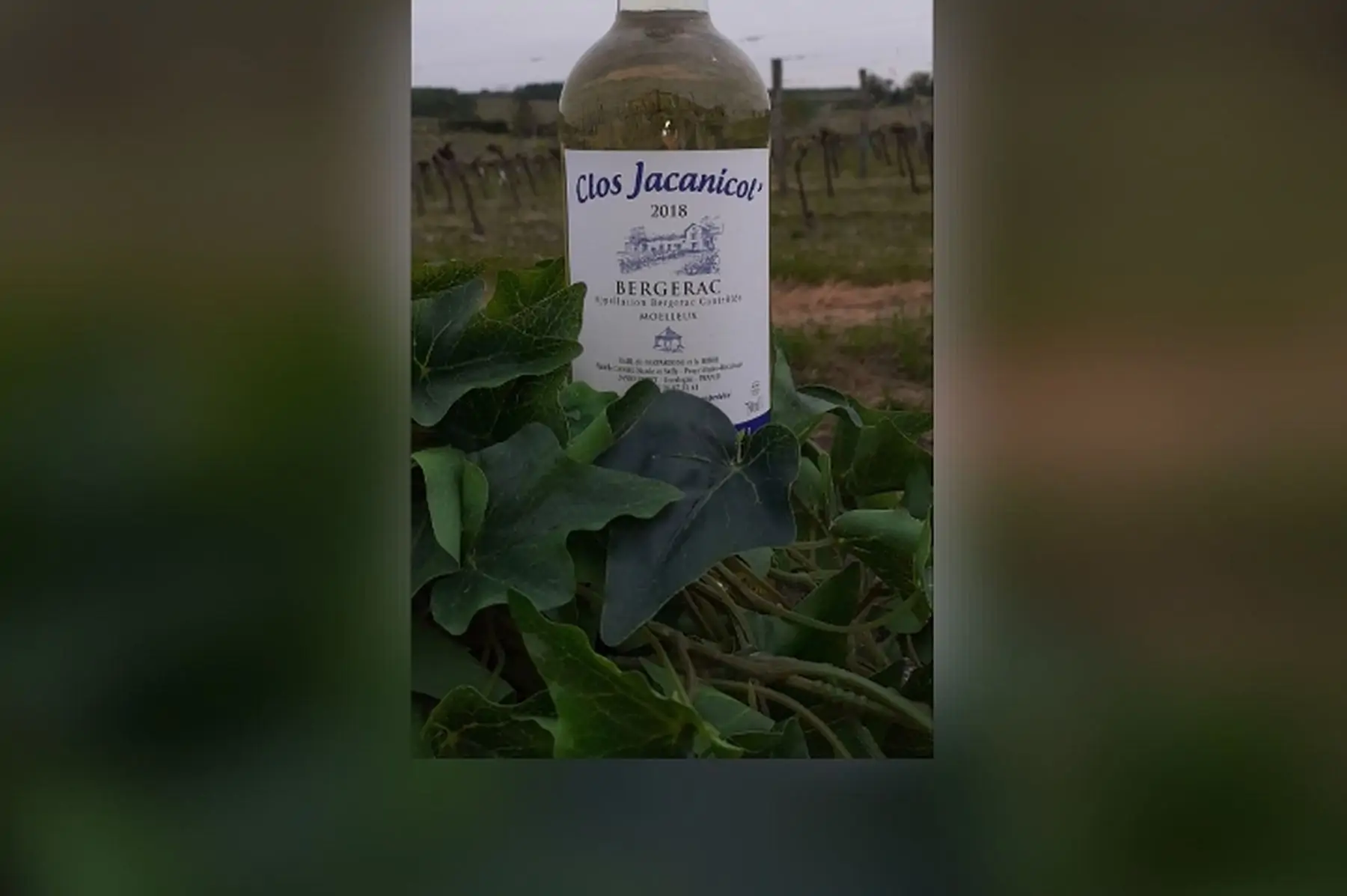 la bouteille de "côtes de bergerac moelleux " 2018 (75cl)