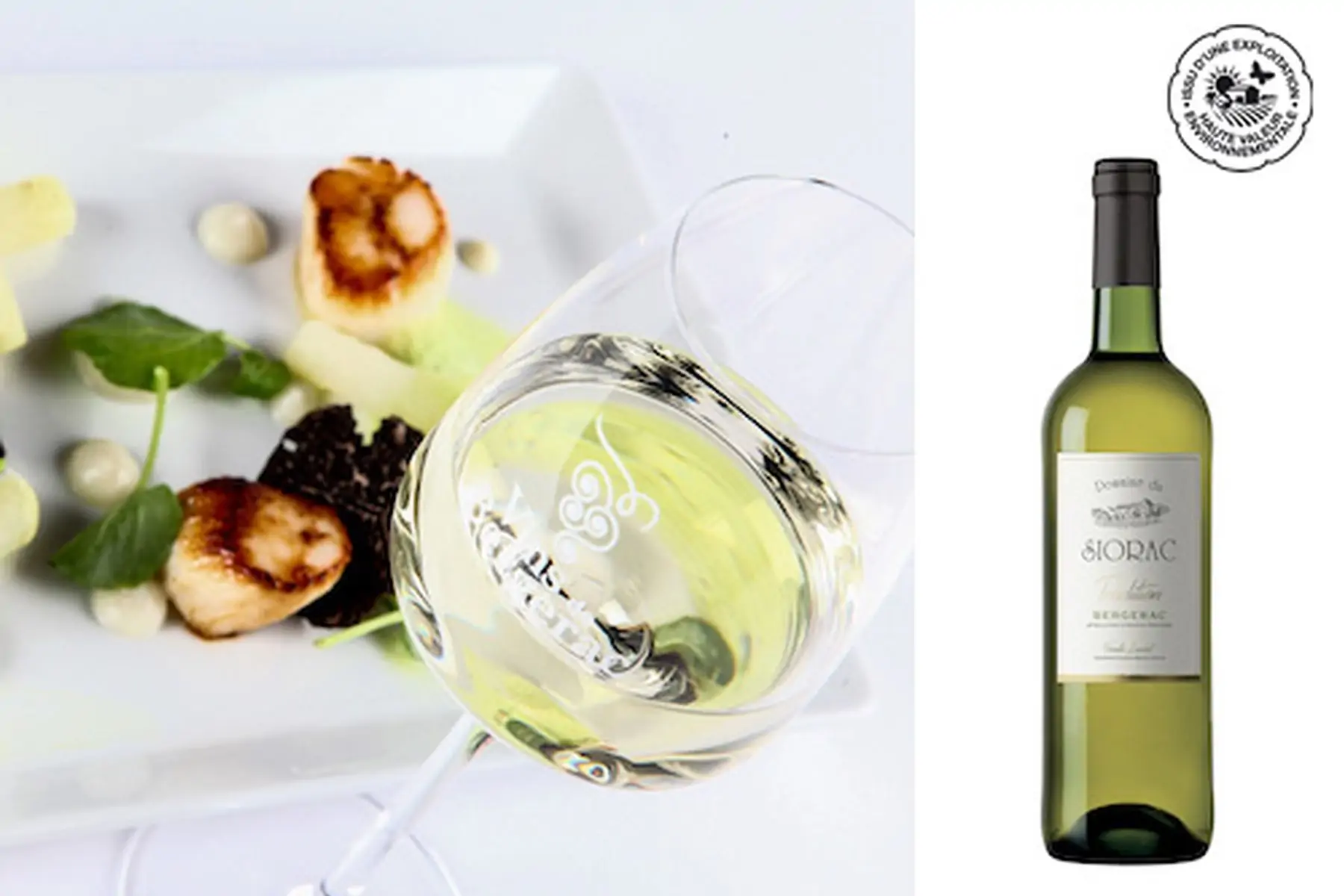 Tradition blanc sec 2024 BIO bouteille