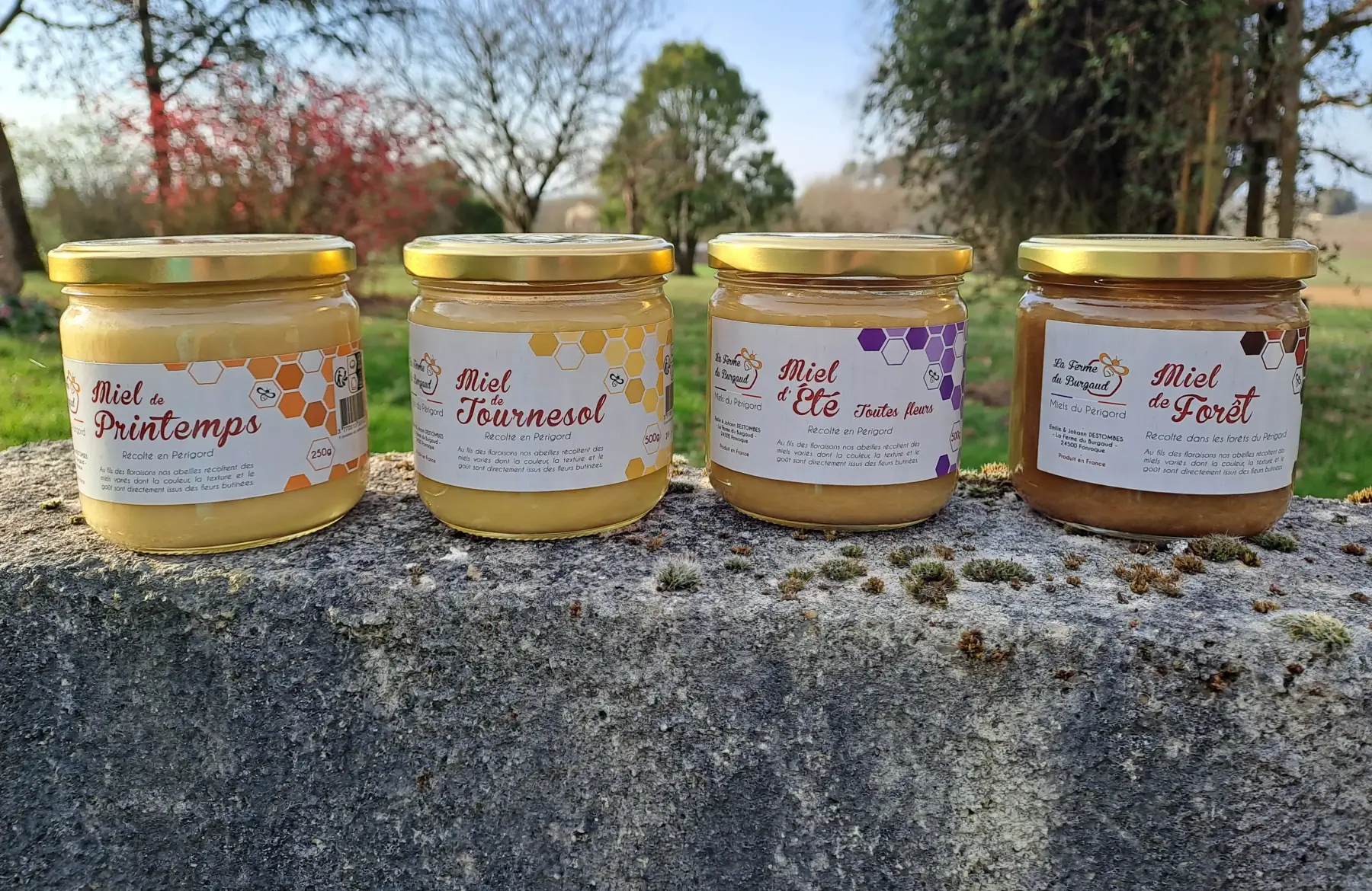 earl la ferme du burgaud