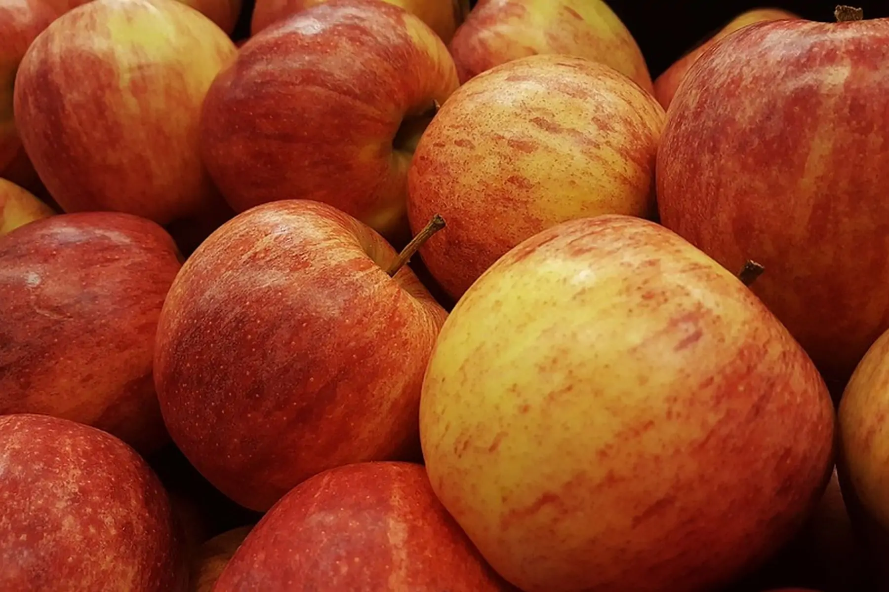 pomme gala (sac de 5kg)