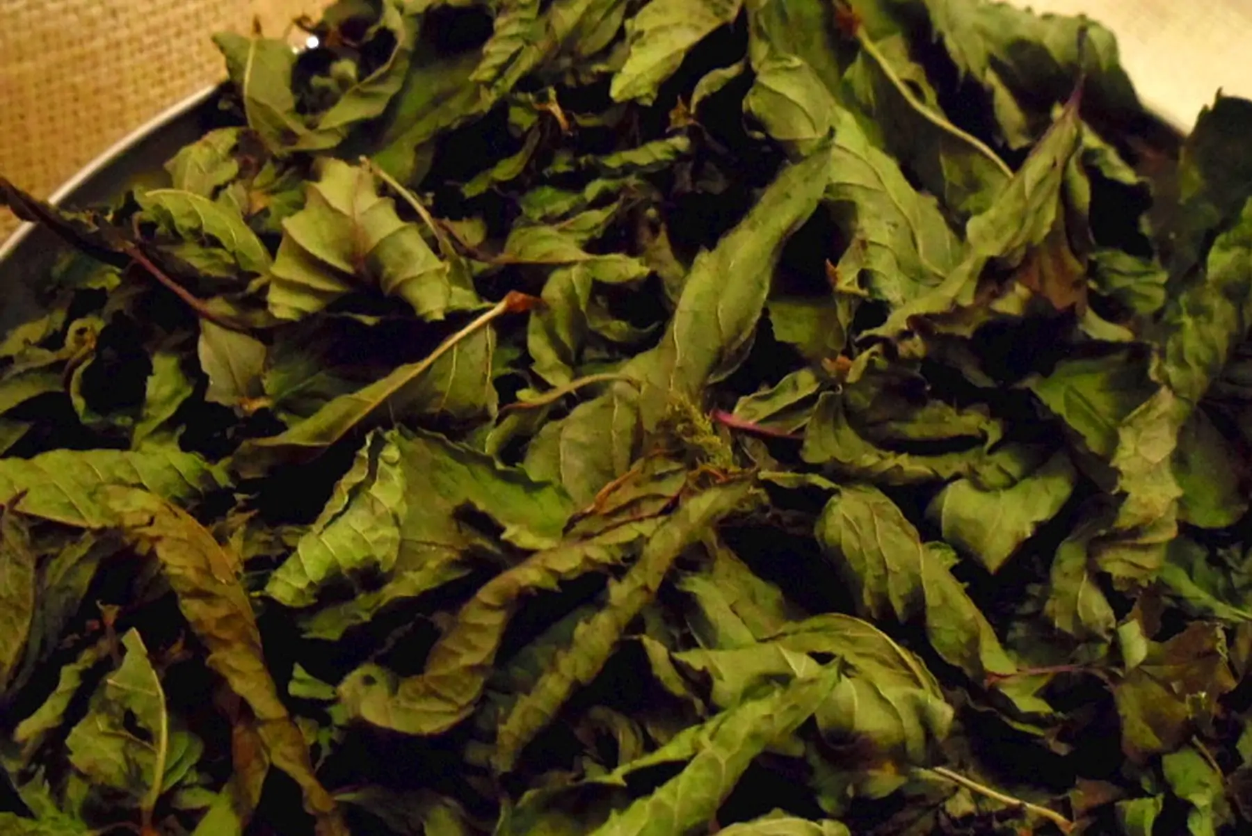 tisane 1,2,3 soleil : digestion mentholée