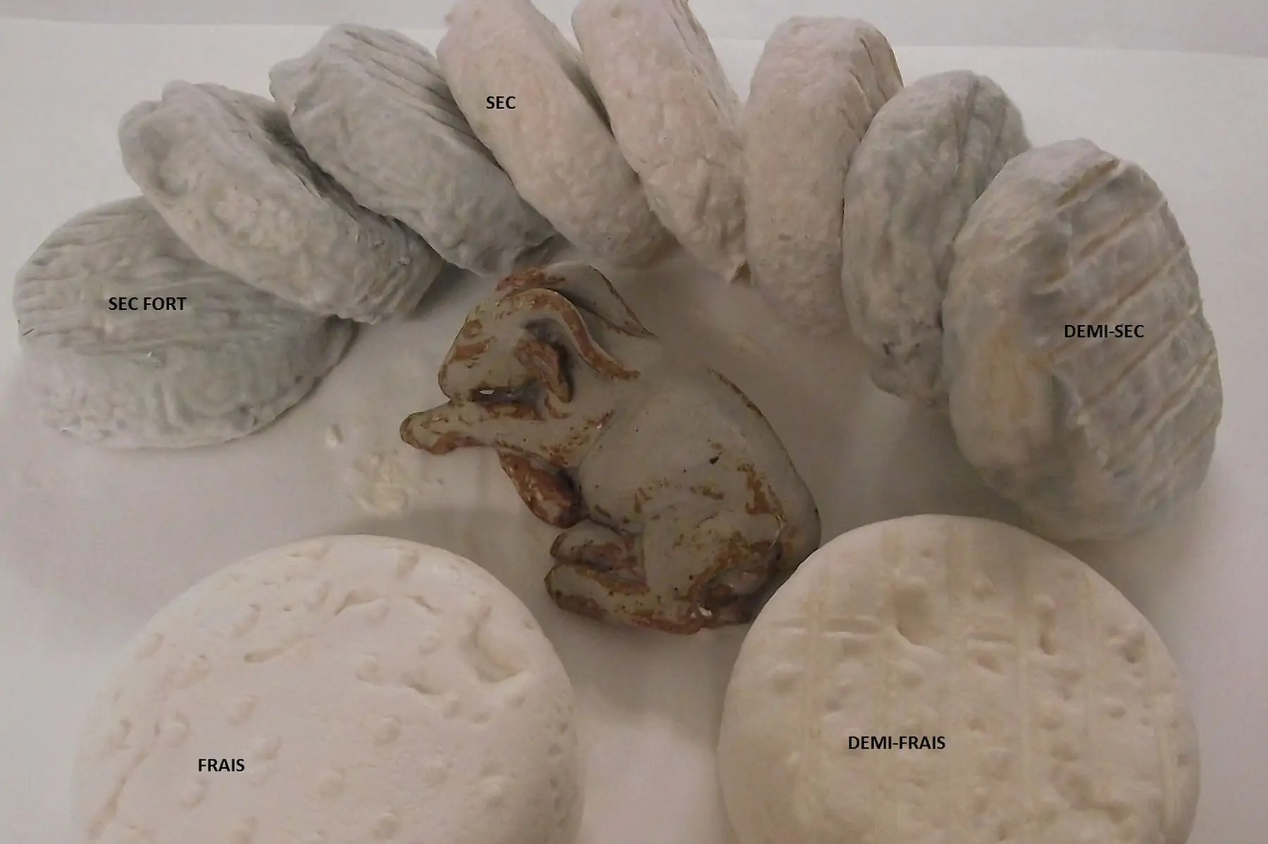 mélange de fromages de chèvre différents affinages