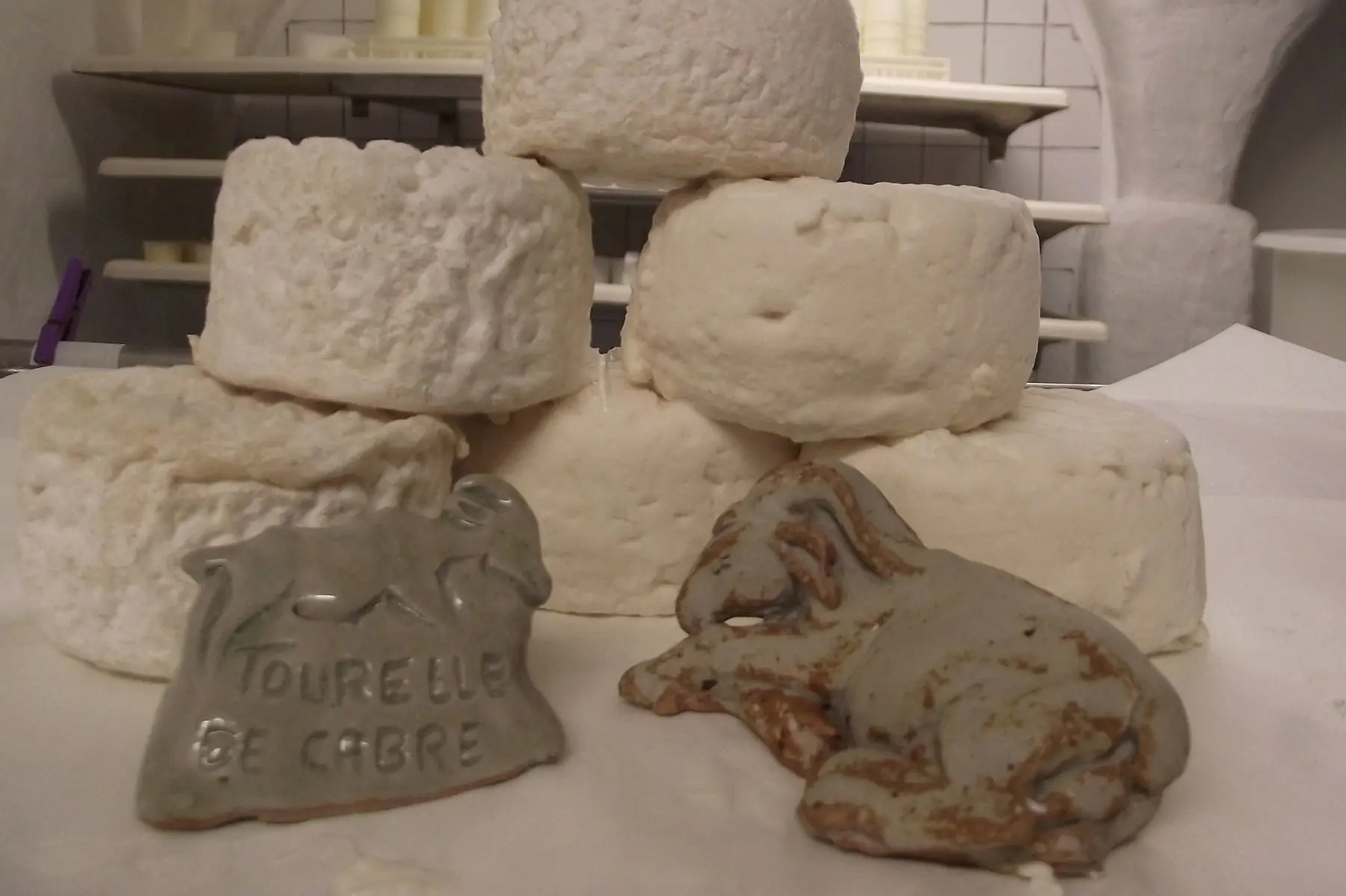 fromage de chèvre "tourelles de cabre"