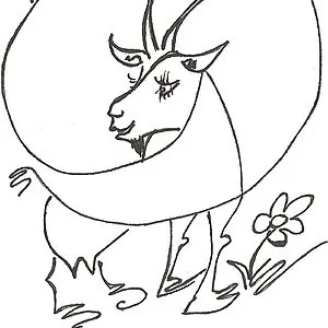 Pauline Perdrix - Ferme des Sagnes