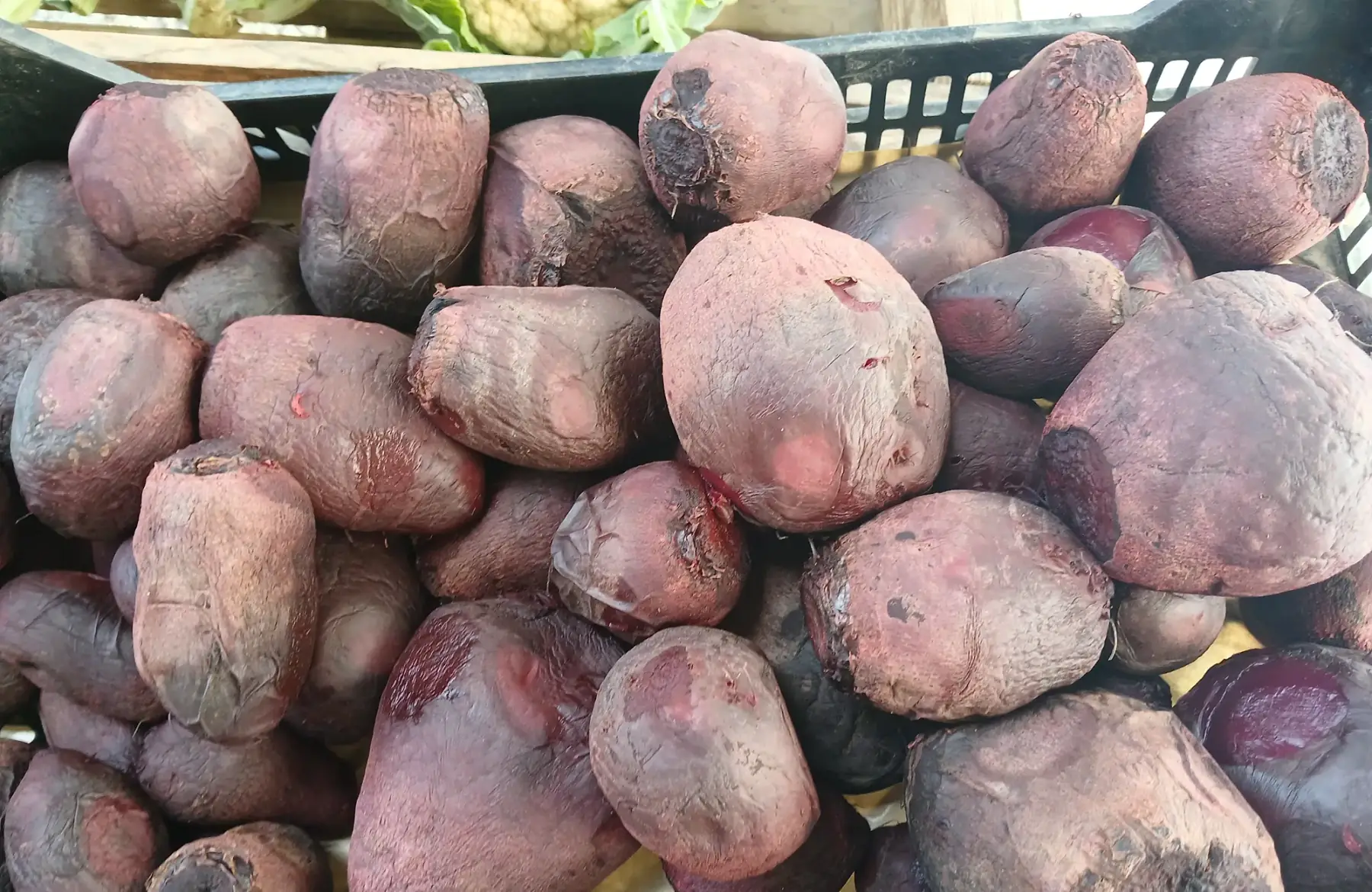 Betteraves nouvelles rondes cuites