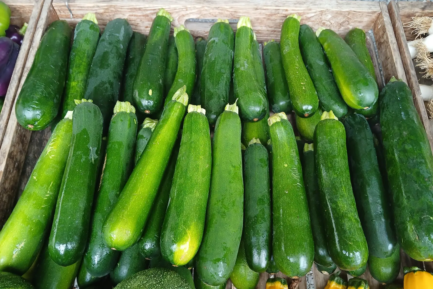Courgette