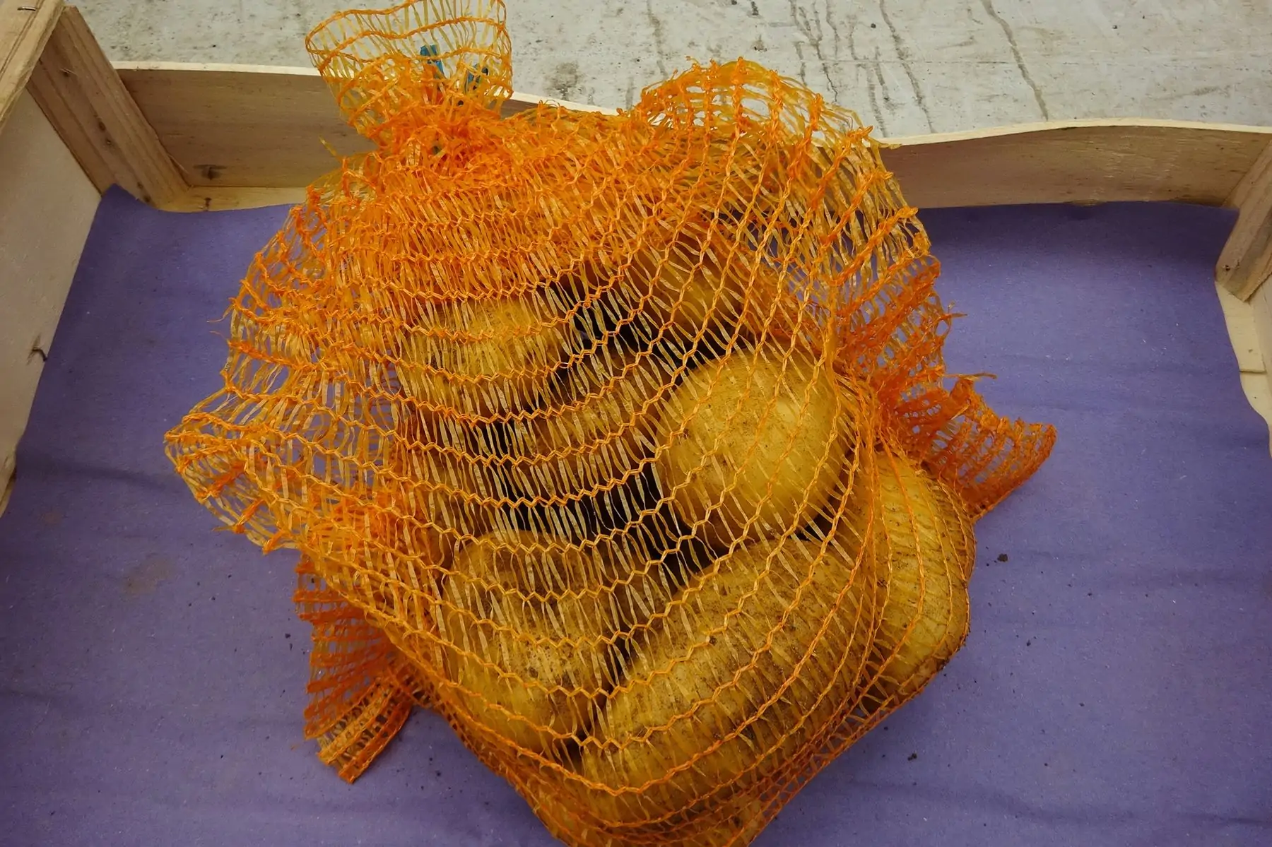 filet 3 kg pomme de terre louisana