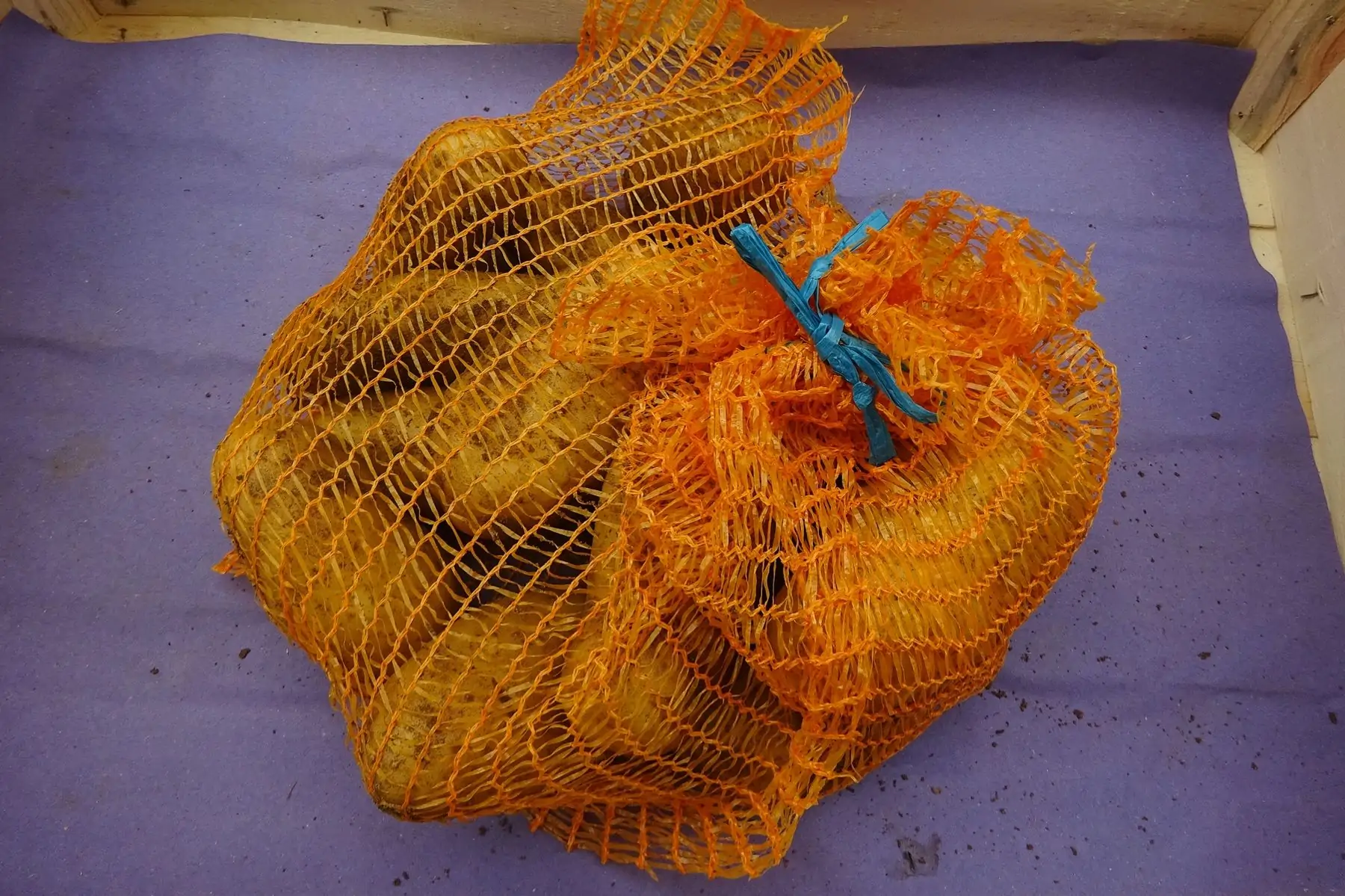 filet 3 kg de pomme de terre charlotte