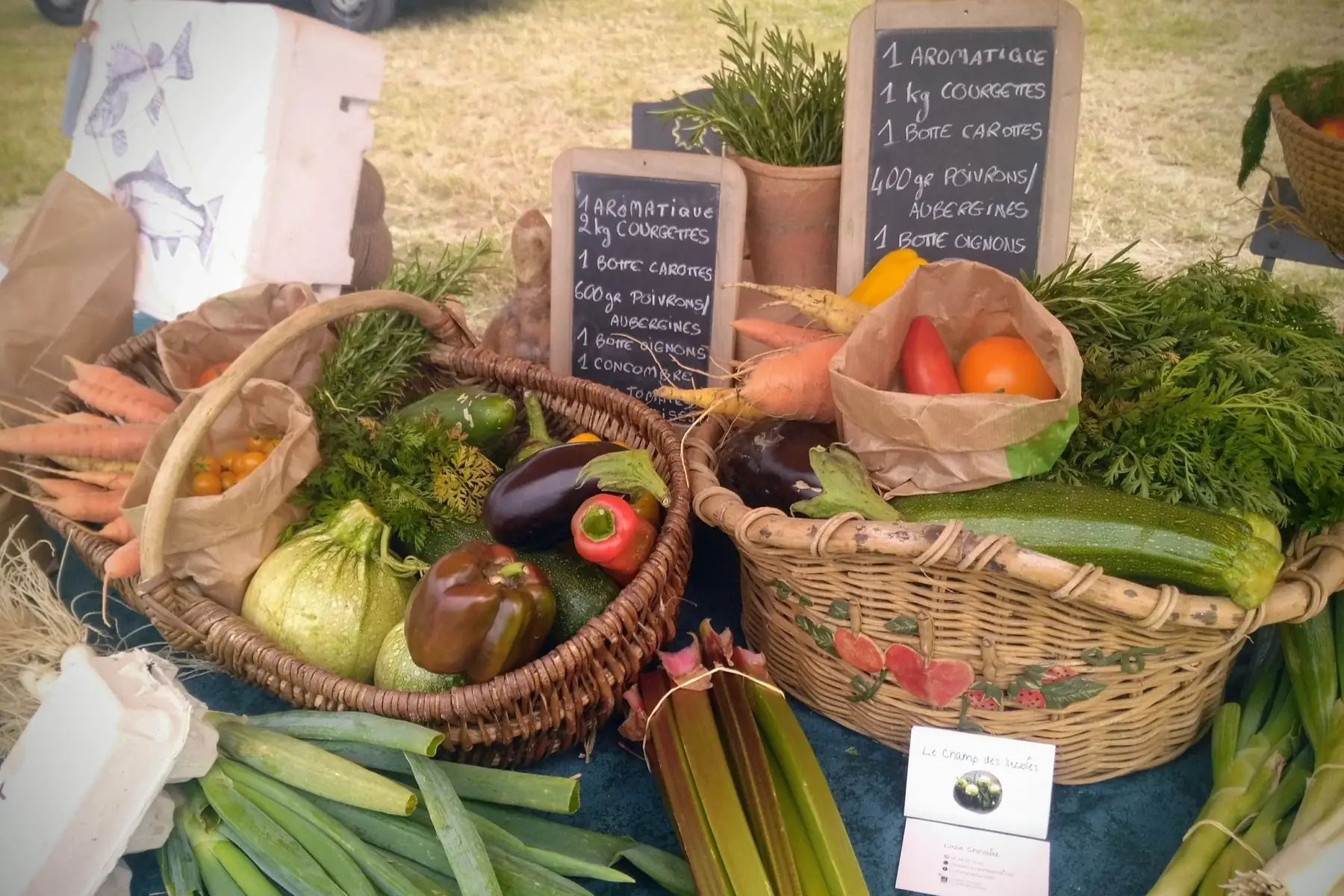 Le Champ des lucioles