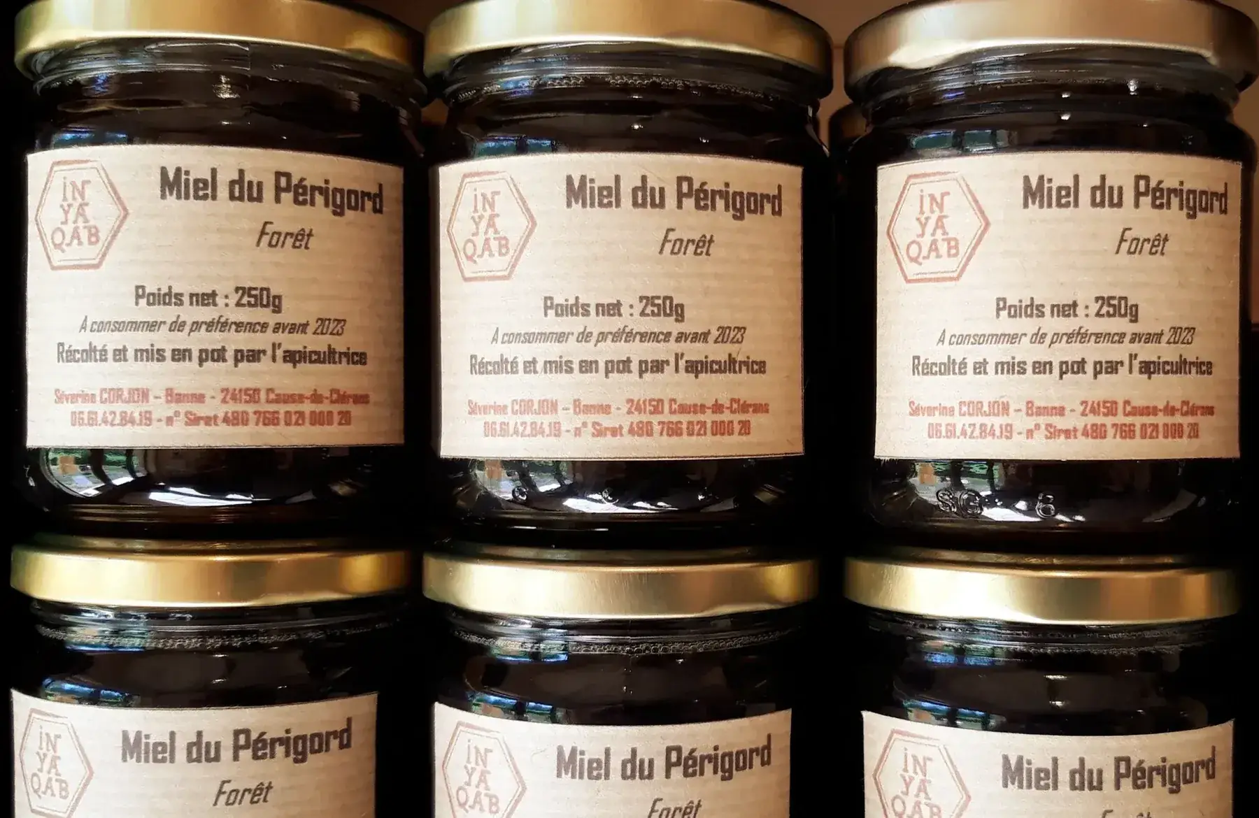 miel de forêt du perigord