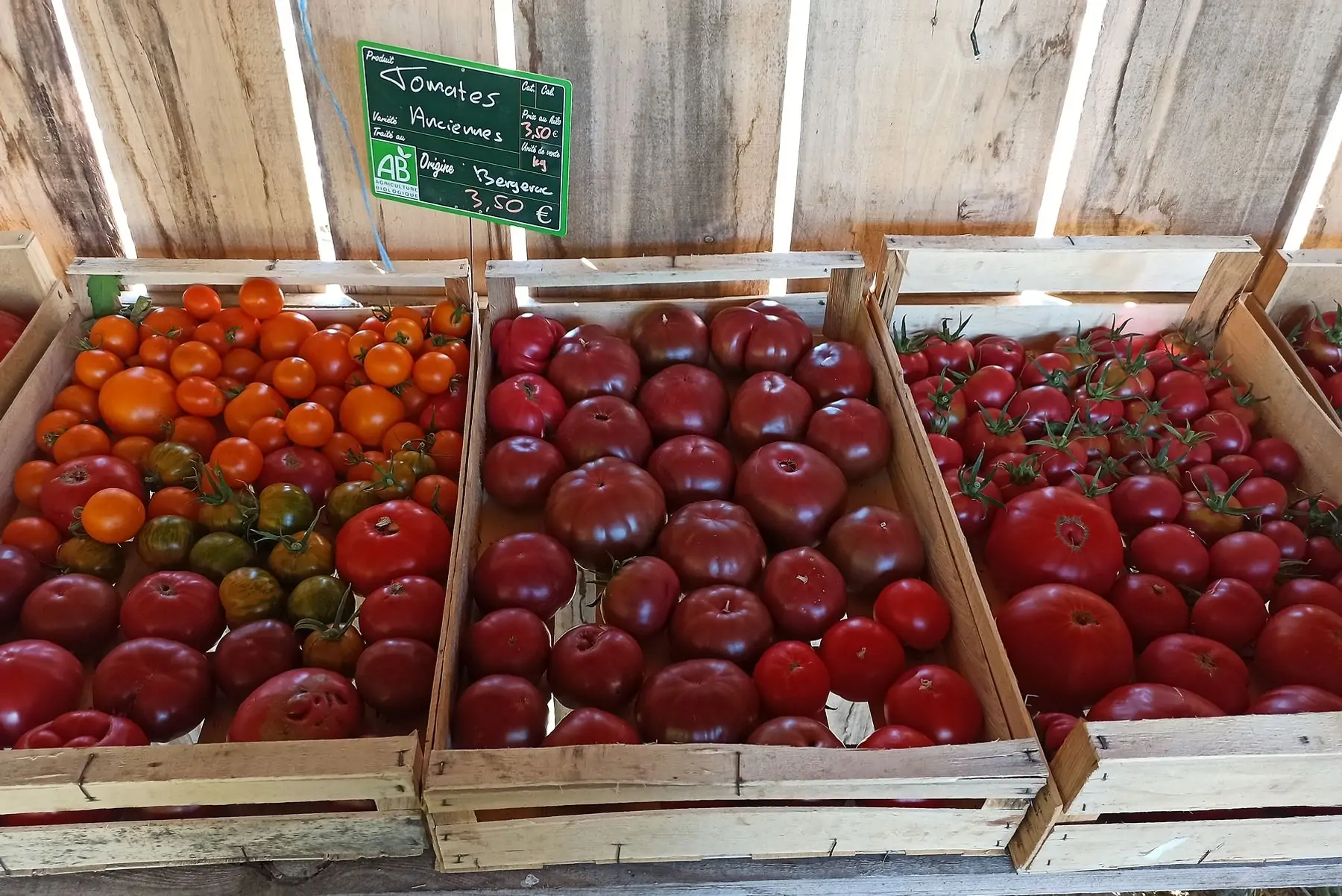 tomates anciennes bio mélange