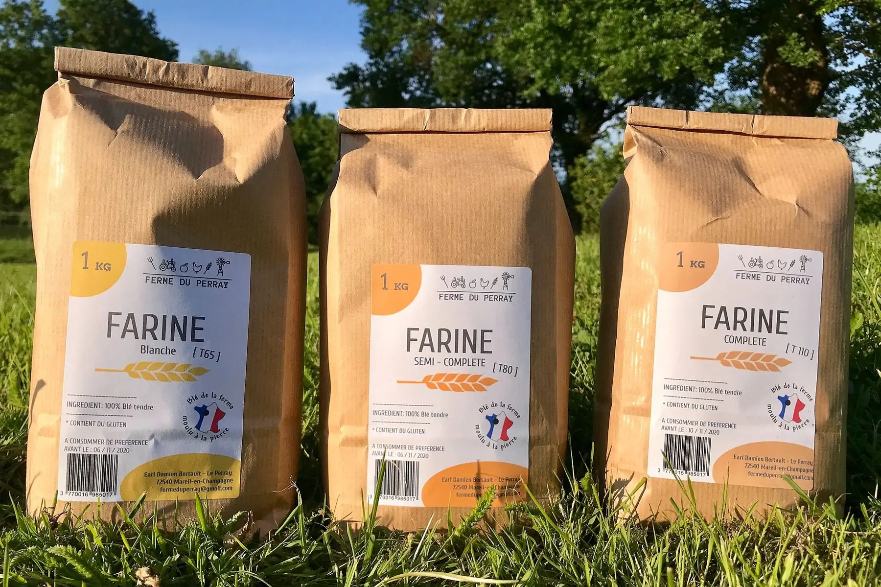 farine semi-complète t 80 - 1 kg