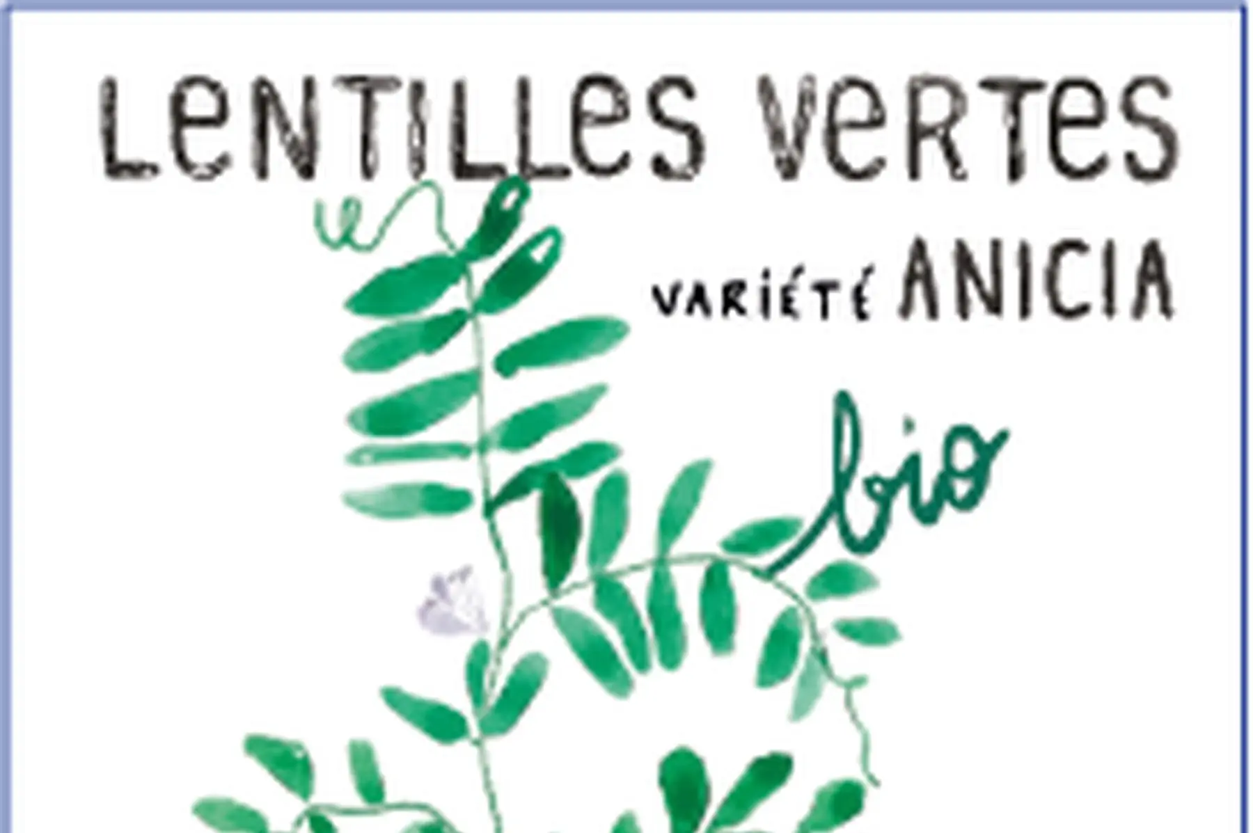 lentille