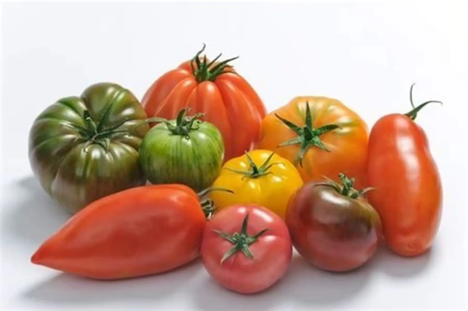 tomate anciennes melange