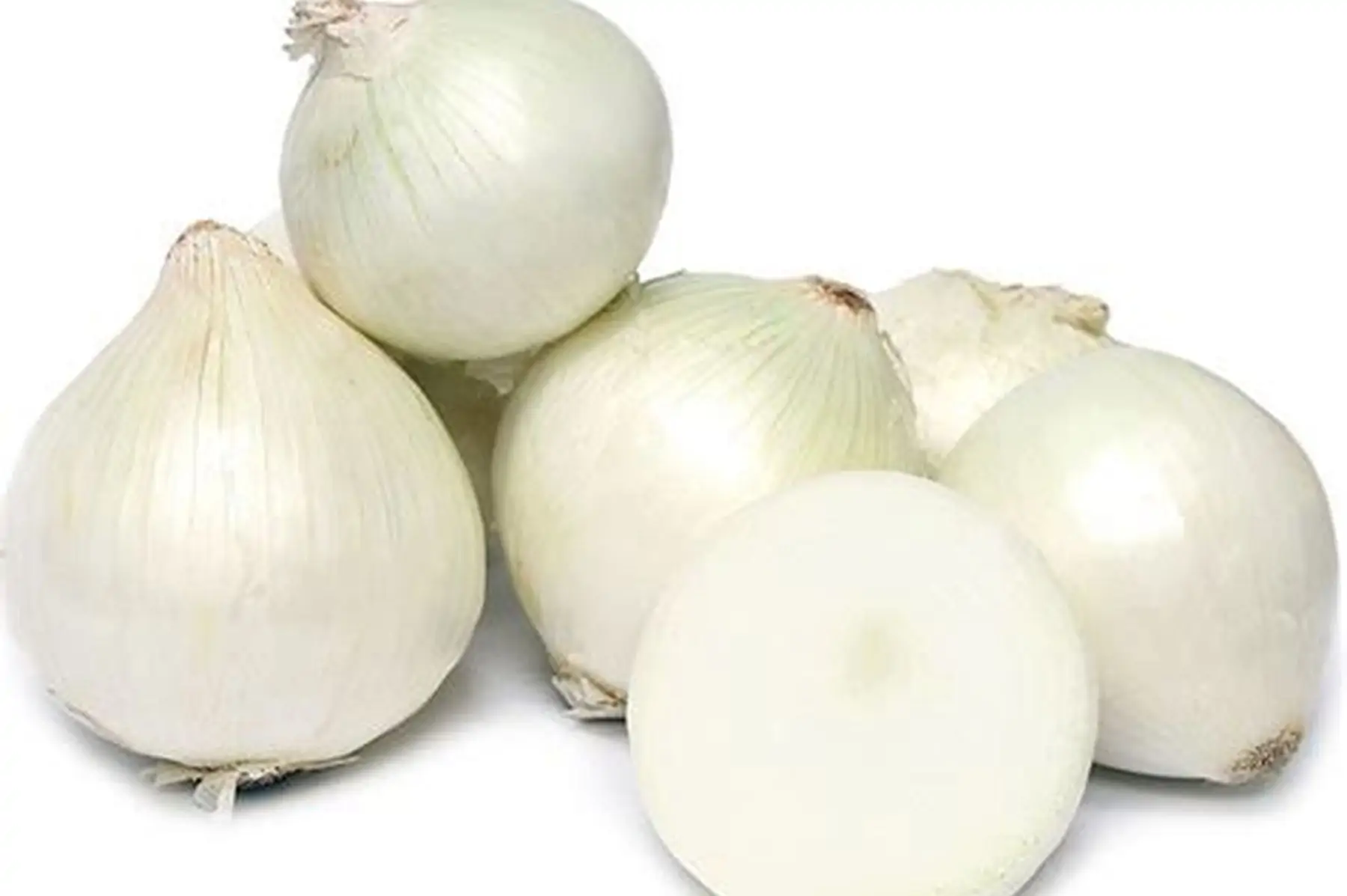 oignon blanc vrac