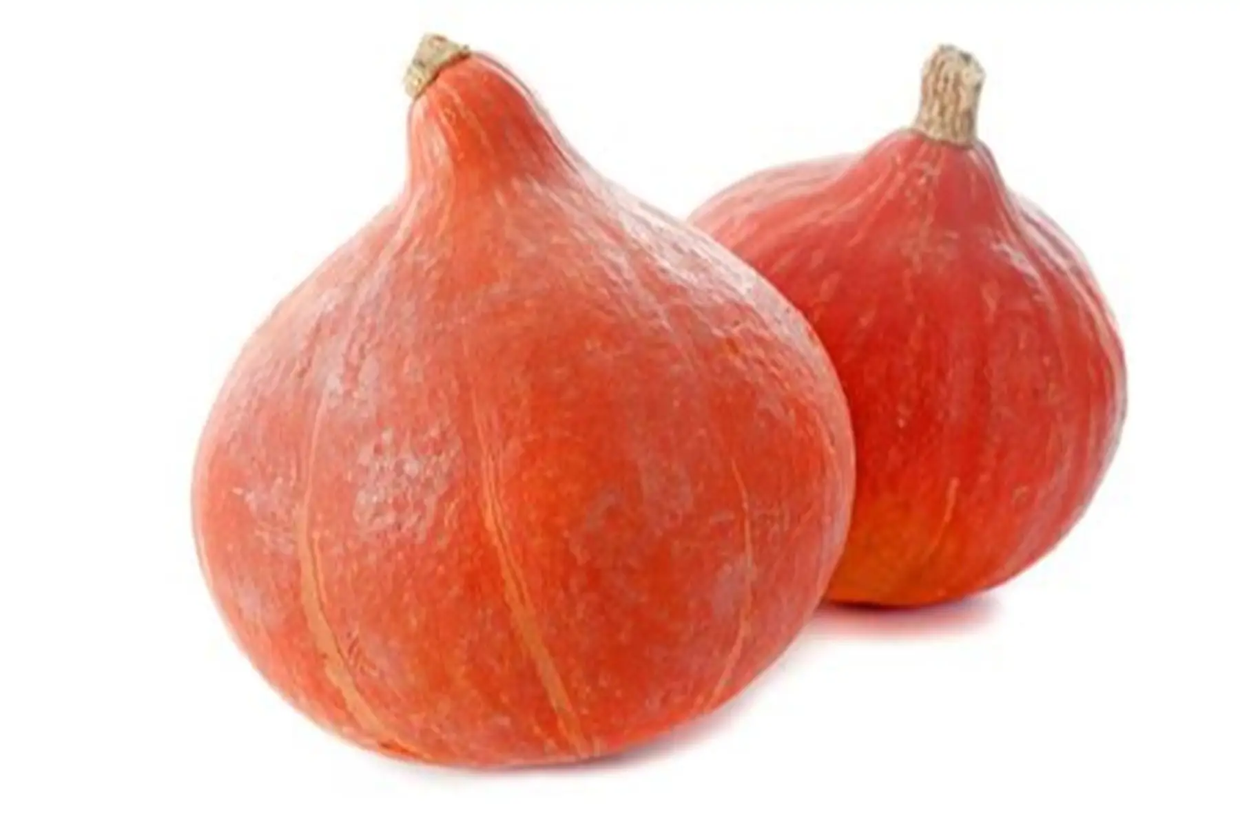 courge potimarron
