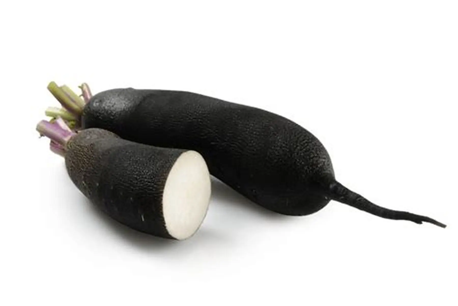 radis noir