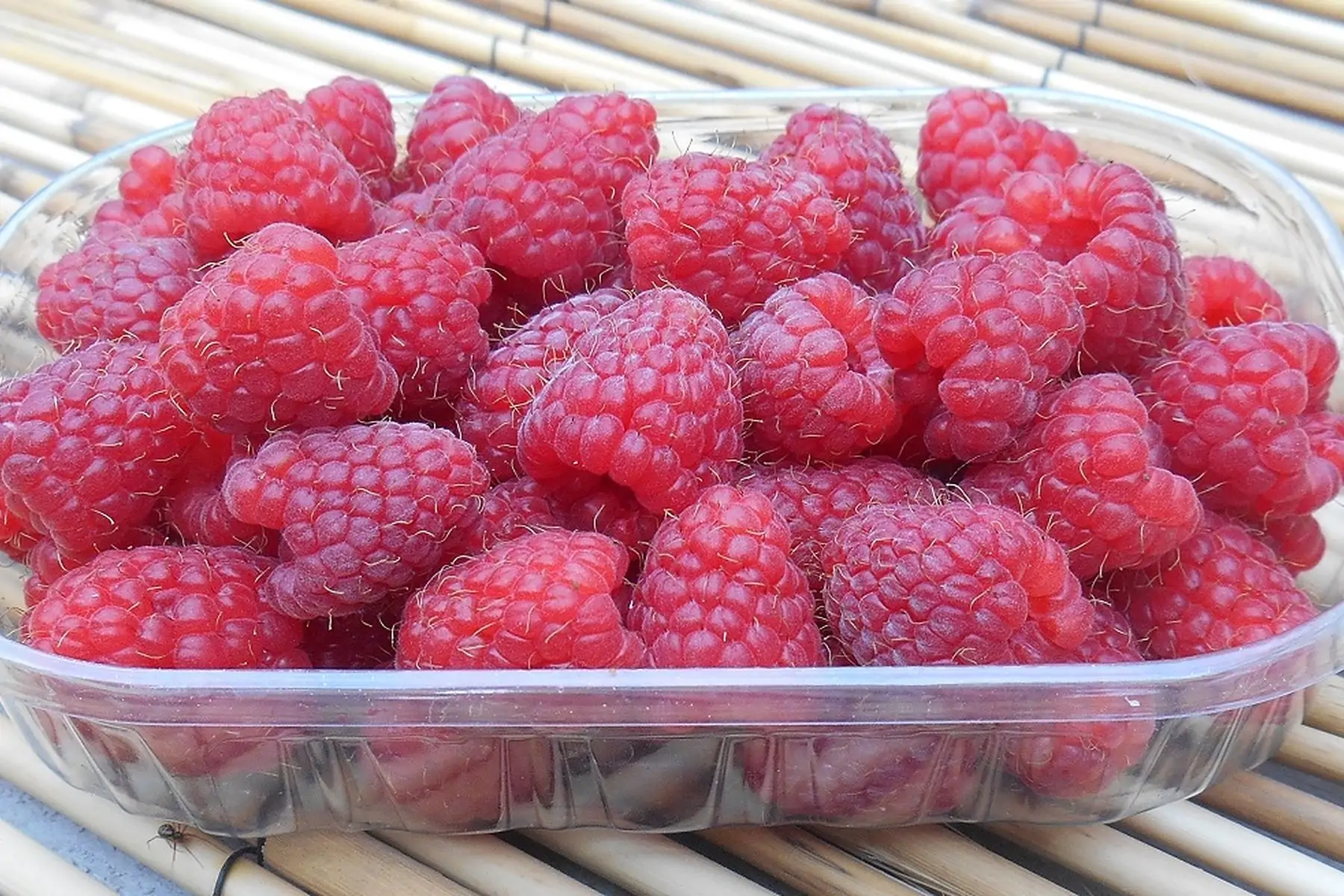 barquette de framboises