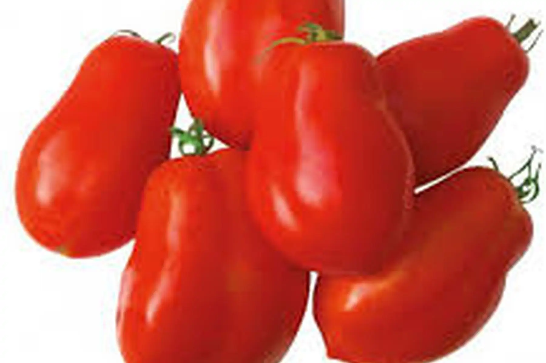 tomate roma 5kg