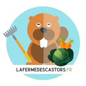 LA FERME DES CASTORS