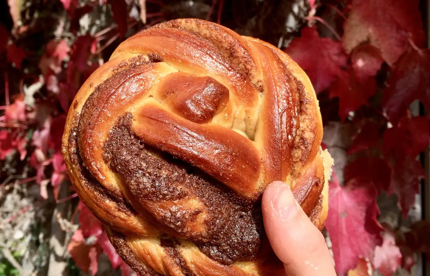 brioche roulée à la cannelle