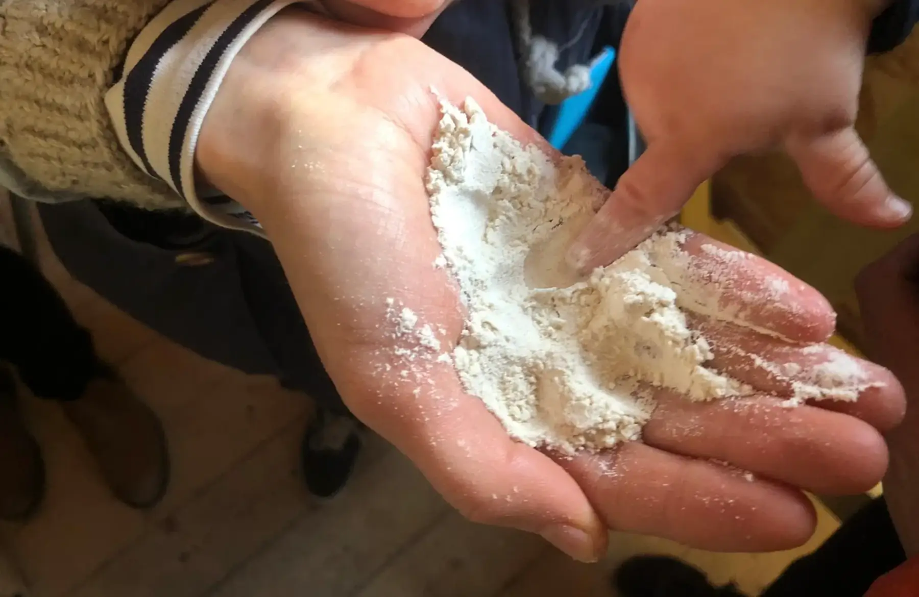 Farine de blé T80 - 5kg