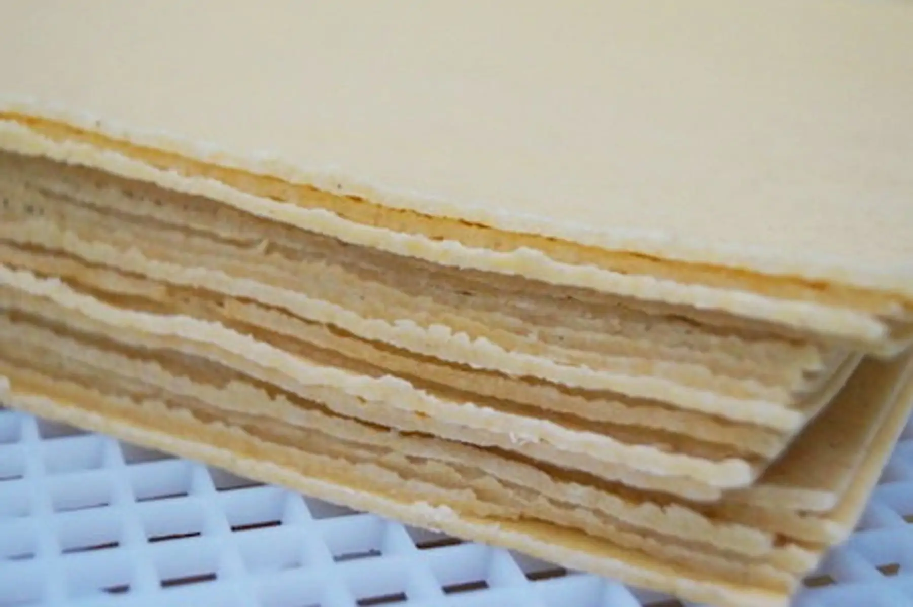 feuille de lasagne fraiche