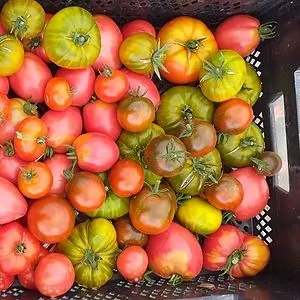 Les Jardins de la Rive