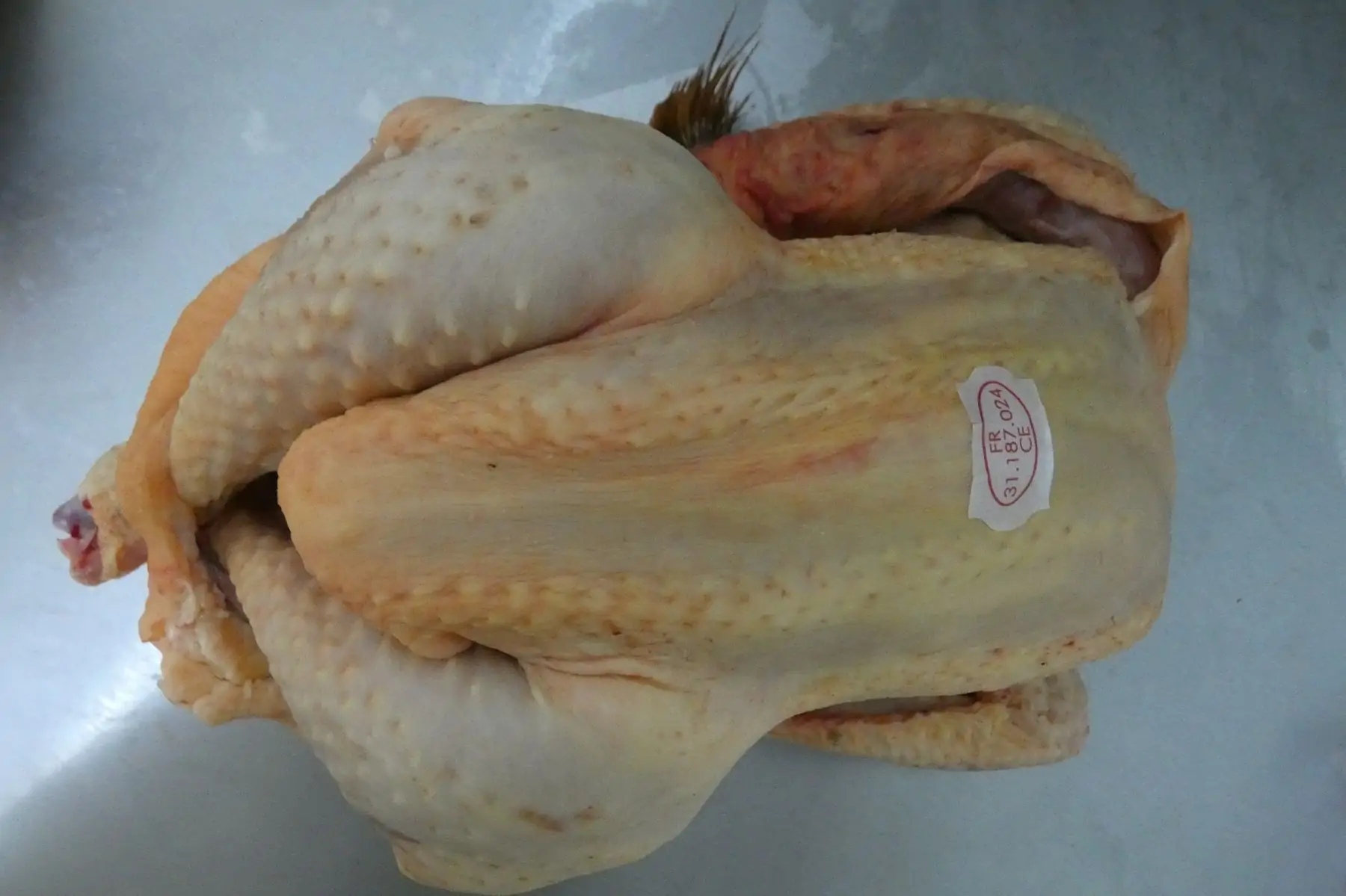 Jérémy ABADIE LES Cocottes du Touch