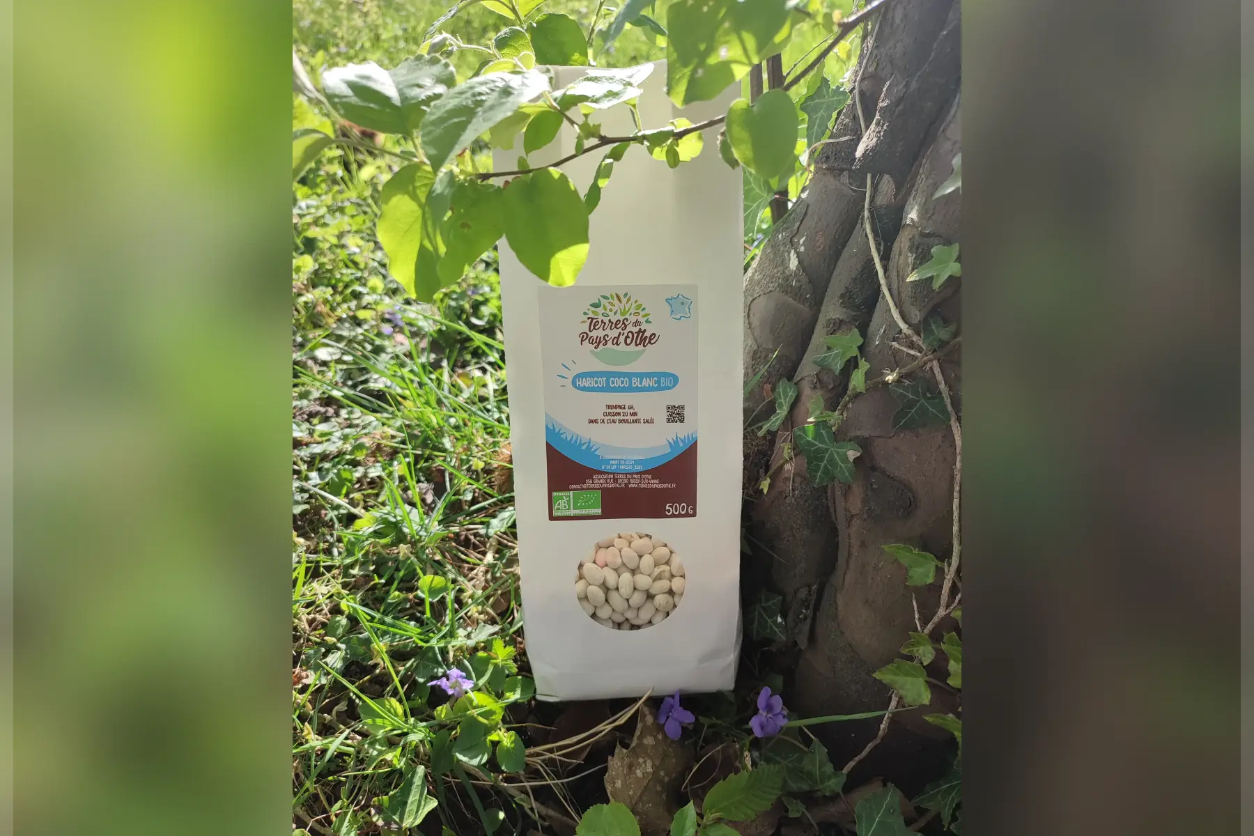 Terres du Pays d'Othe