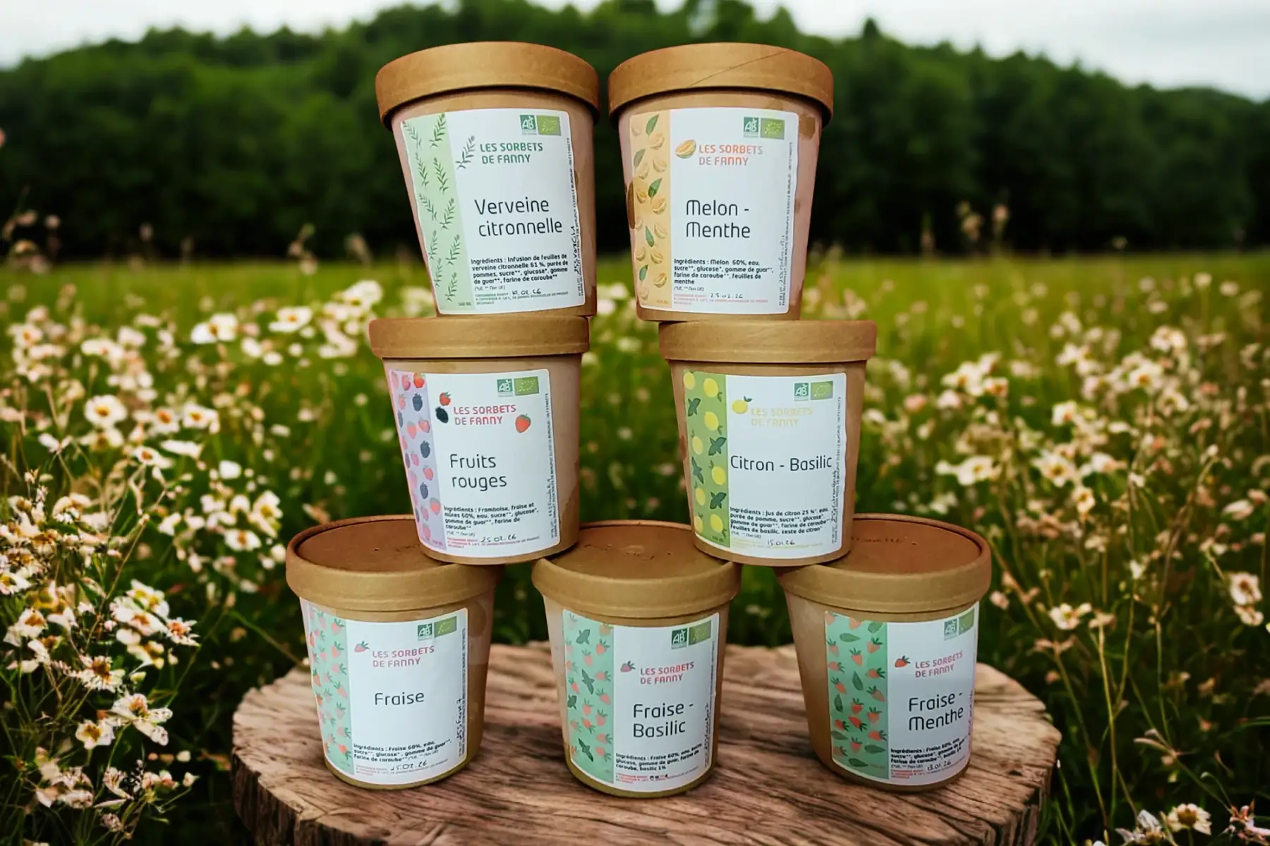 Sorbet pot - Assortiment de parfums du moment