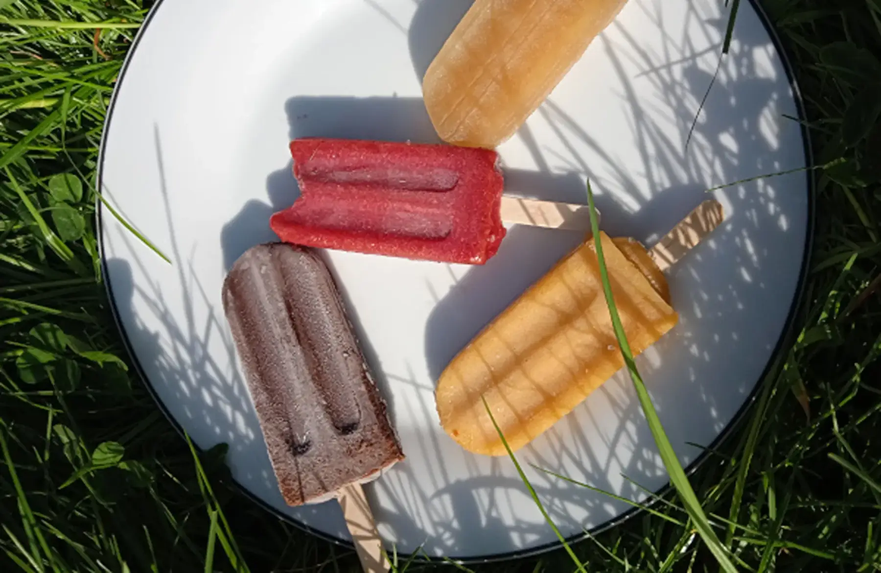 Sorbet bâtonnet - Assortiment de 4 parfums du moment
