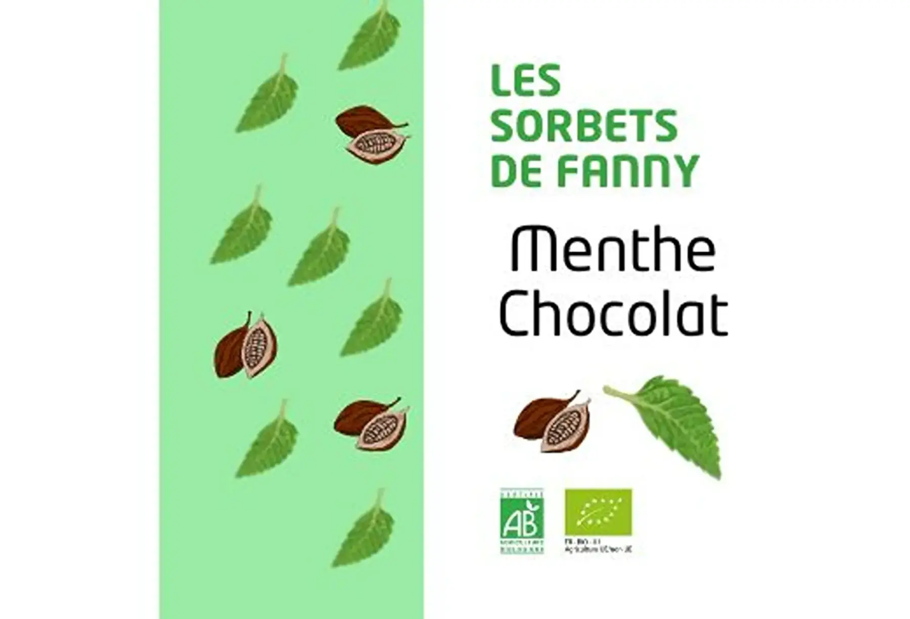 Sorbet Menthe - Chocolat noir (pépites)