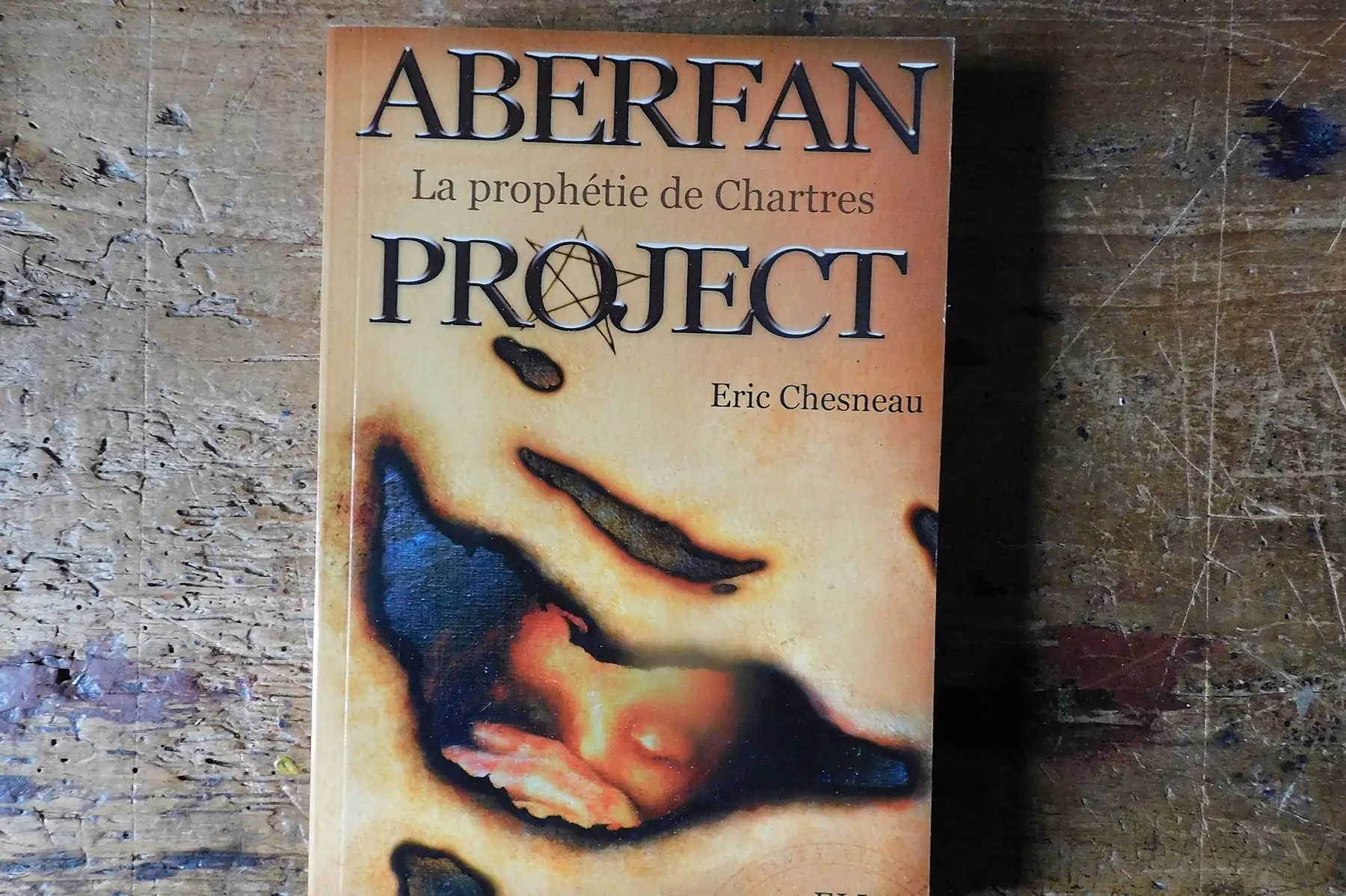 livre : aberfan project la prophétie de chartres