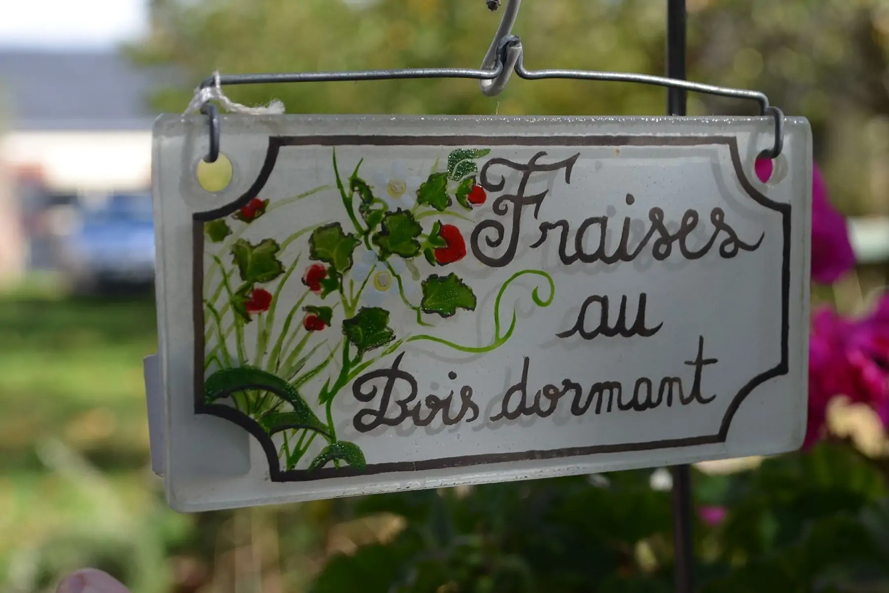 fraises au bois dormant