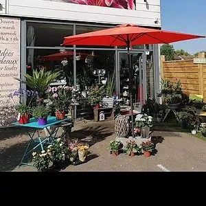 Aux des lys, dse fleurs