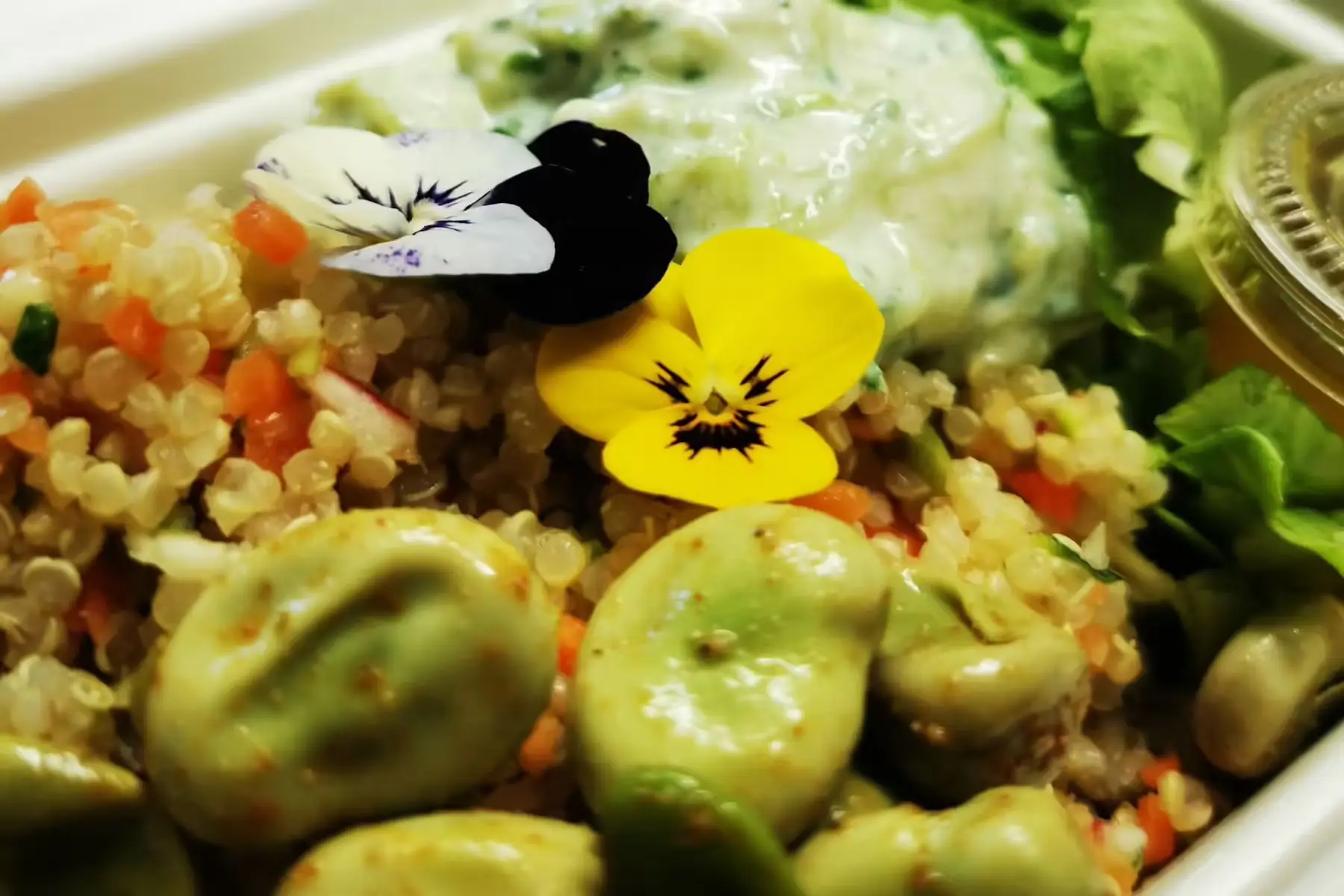 salade de quinoa, petits pois, haricots verts et tatziki végétal v sg