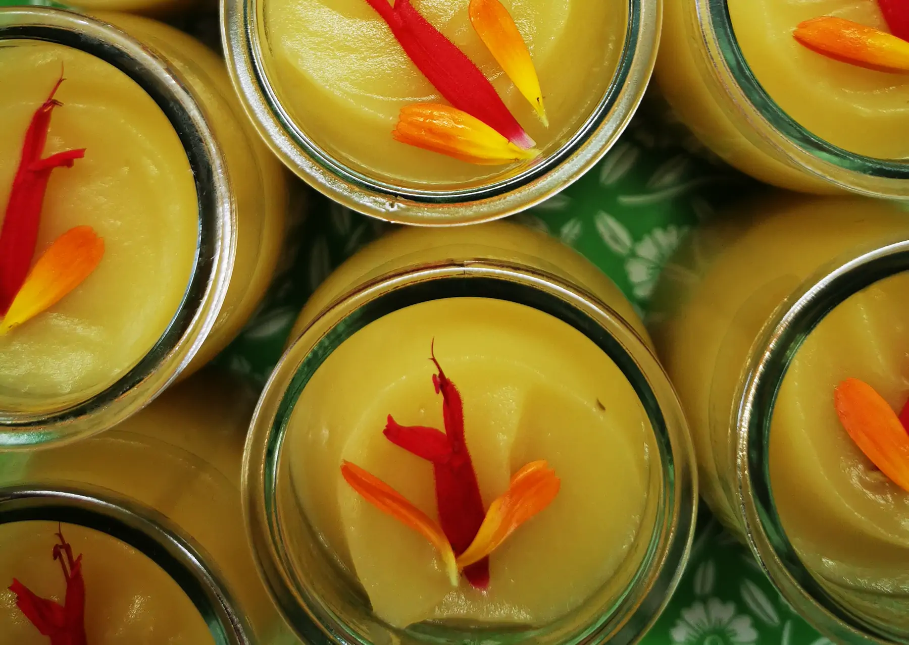 compote de pommes cuite à la vapeur douce et coulis de kakiv sg