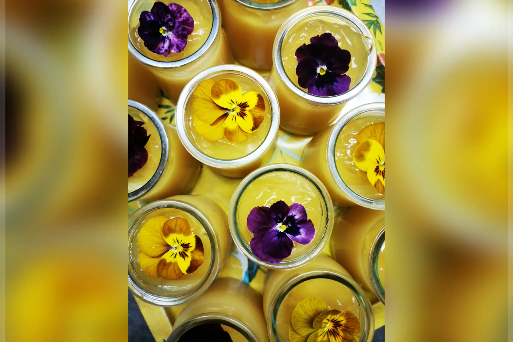 compote de pommes à la vapeur douce et gelée de mimosa v sg