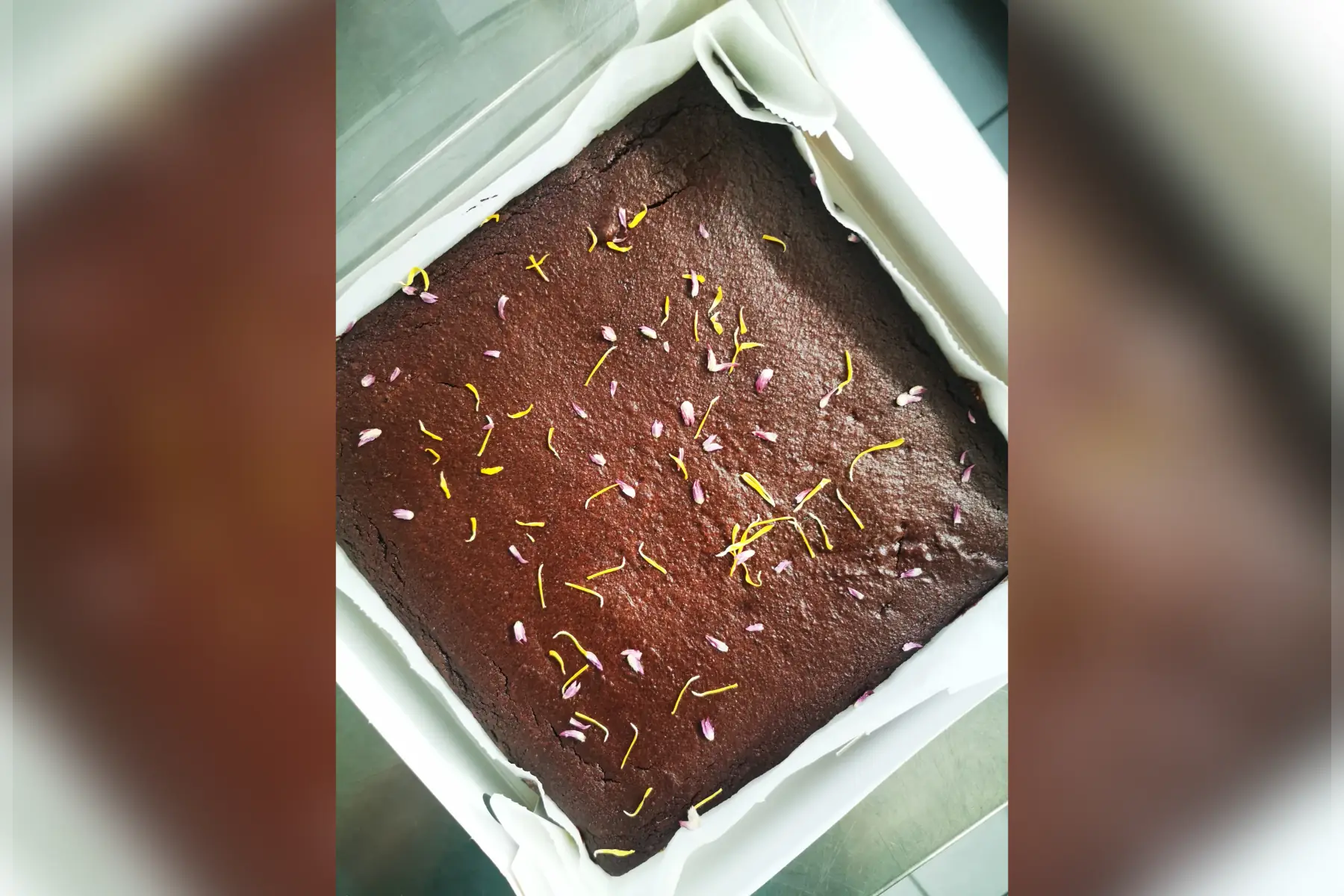 Brownie à la courgette et au chocolat 9 à 12 parts SG SPL