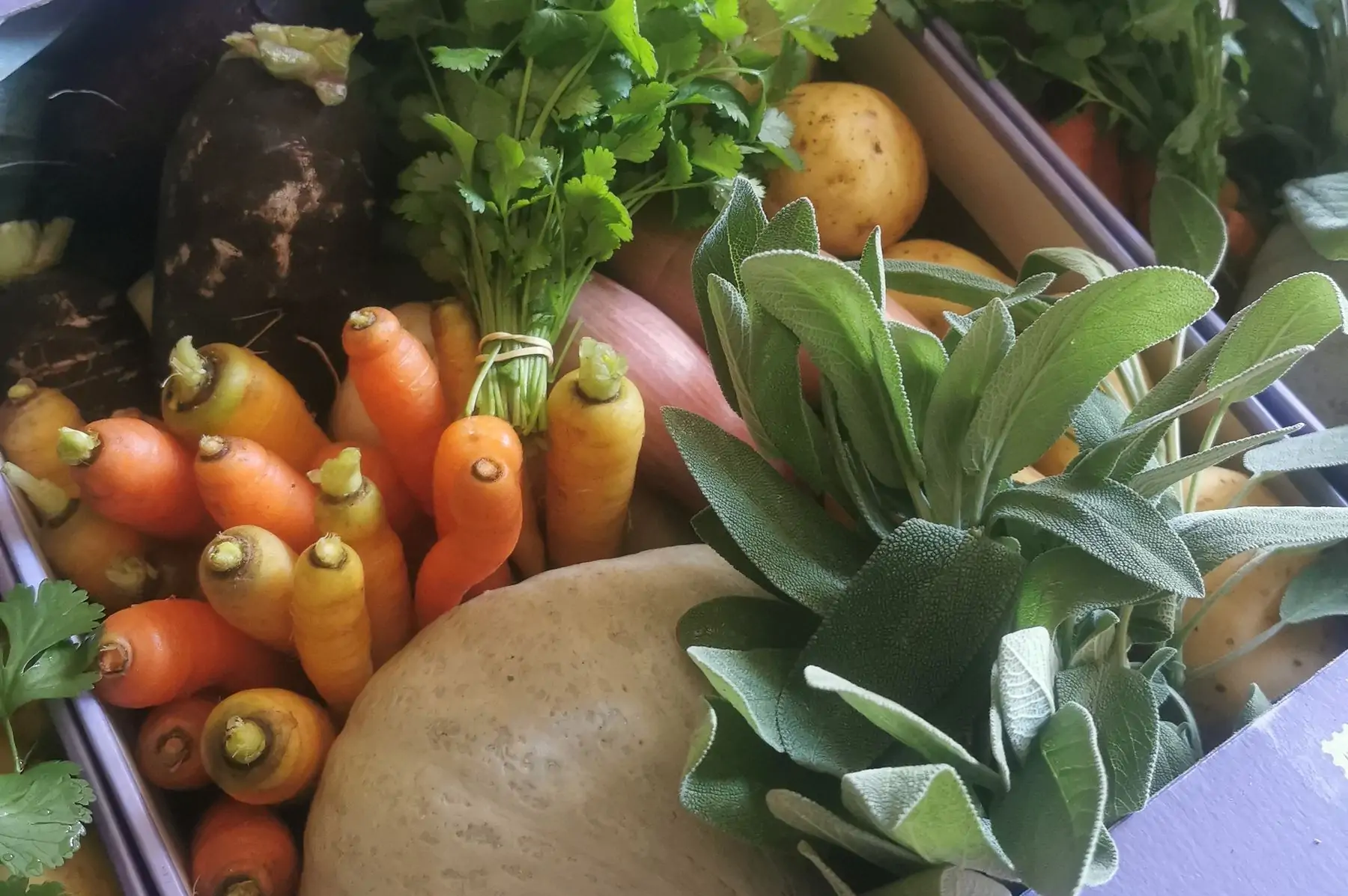 panier composé par le maraîcher