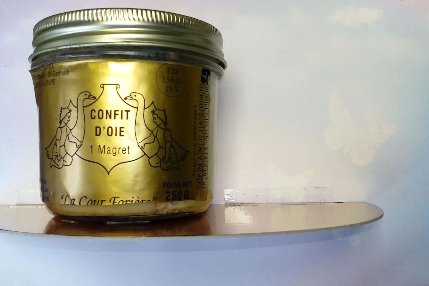 Confit d'oie - 1 magret