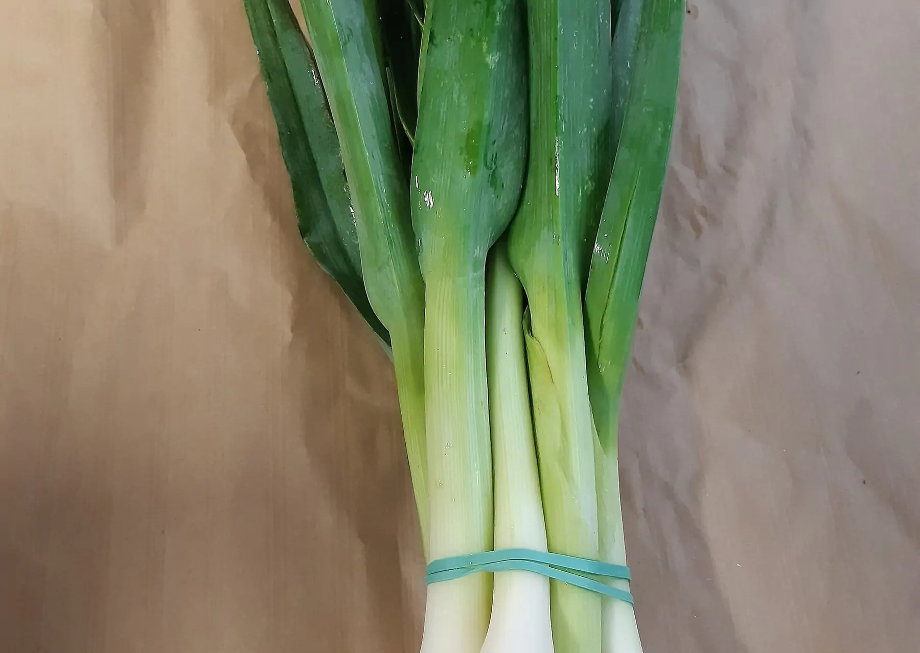 poireaux en botte bio